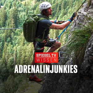Hans Honold bei einer Bergtour am Klettersteig: Bergsteiger mit weißem Helm und Y-Sicherung klettert an senkrechter Felswand