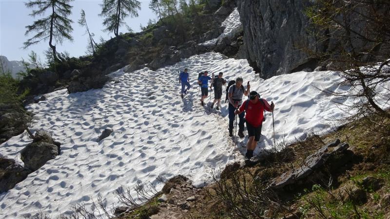Fünf Personen bei der Bergwanderung über ein Schneefeld auf dem Weg von der Wasseralm zum Kärlingerhaus mit Wanderstöcken