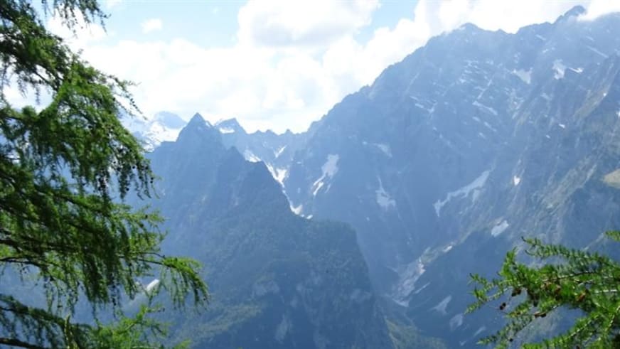Panoramablick auf die Watzmann Ostwand mit Schneefeldern und Felsgrat über dichtem Nadelwald im Sommer.