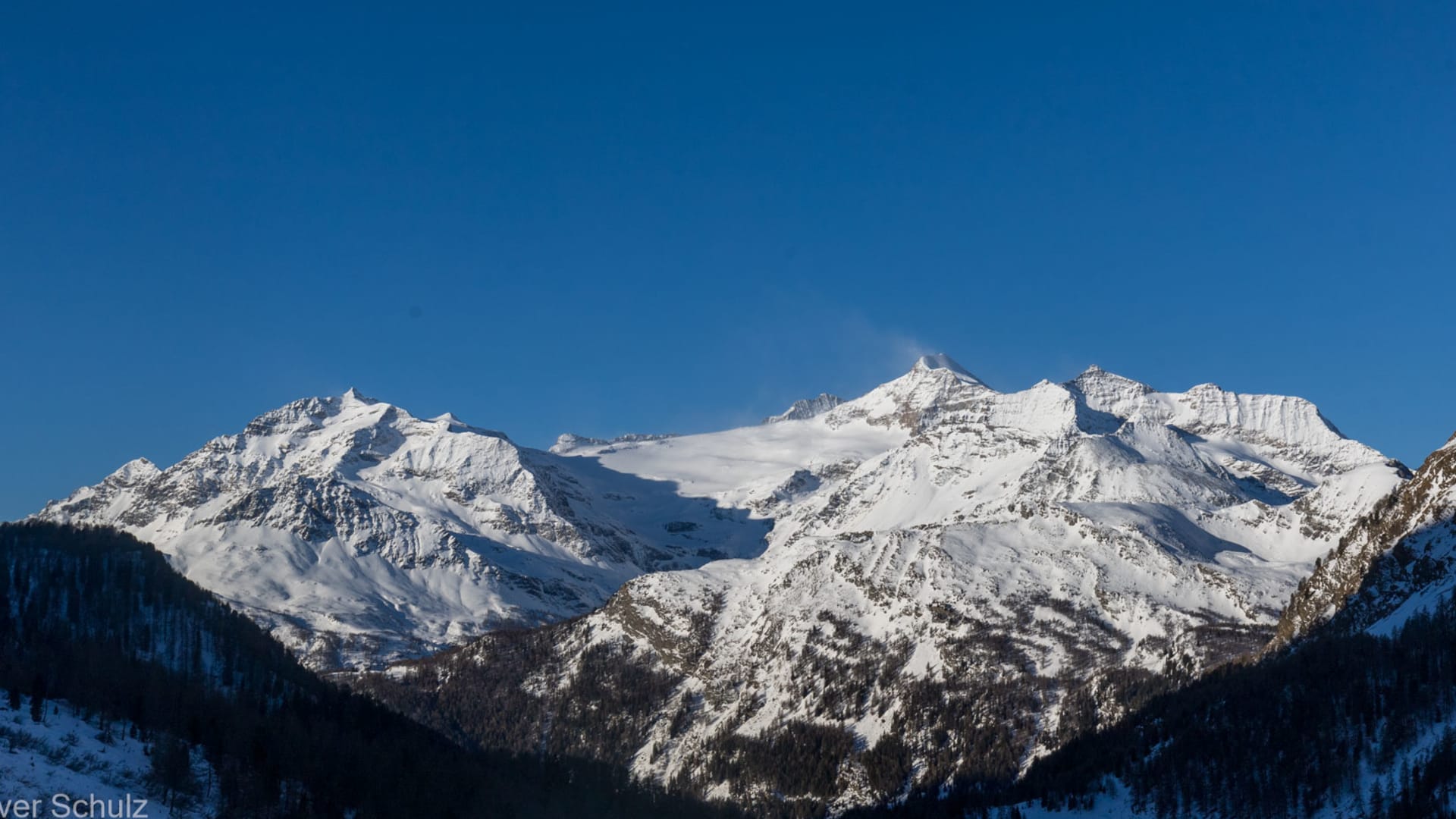 Skitour in den Livigno-Alpen: Panorama der Berninagruppe mit mehreren schneebedeckten Gipfeln, felsigen Graten und dicht bewaldeten