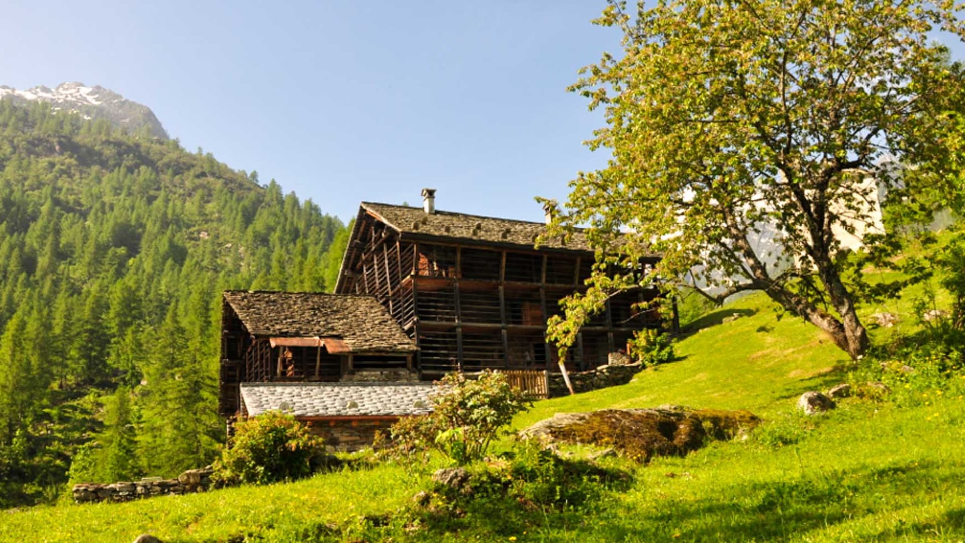 Traditionelles Holz-Alpgebäude der Baita Prato della Croce mit Steindach und grüner Wiese im Sommer.