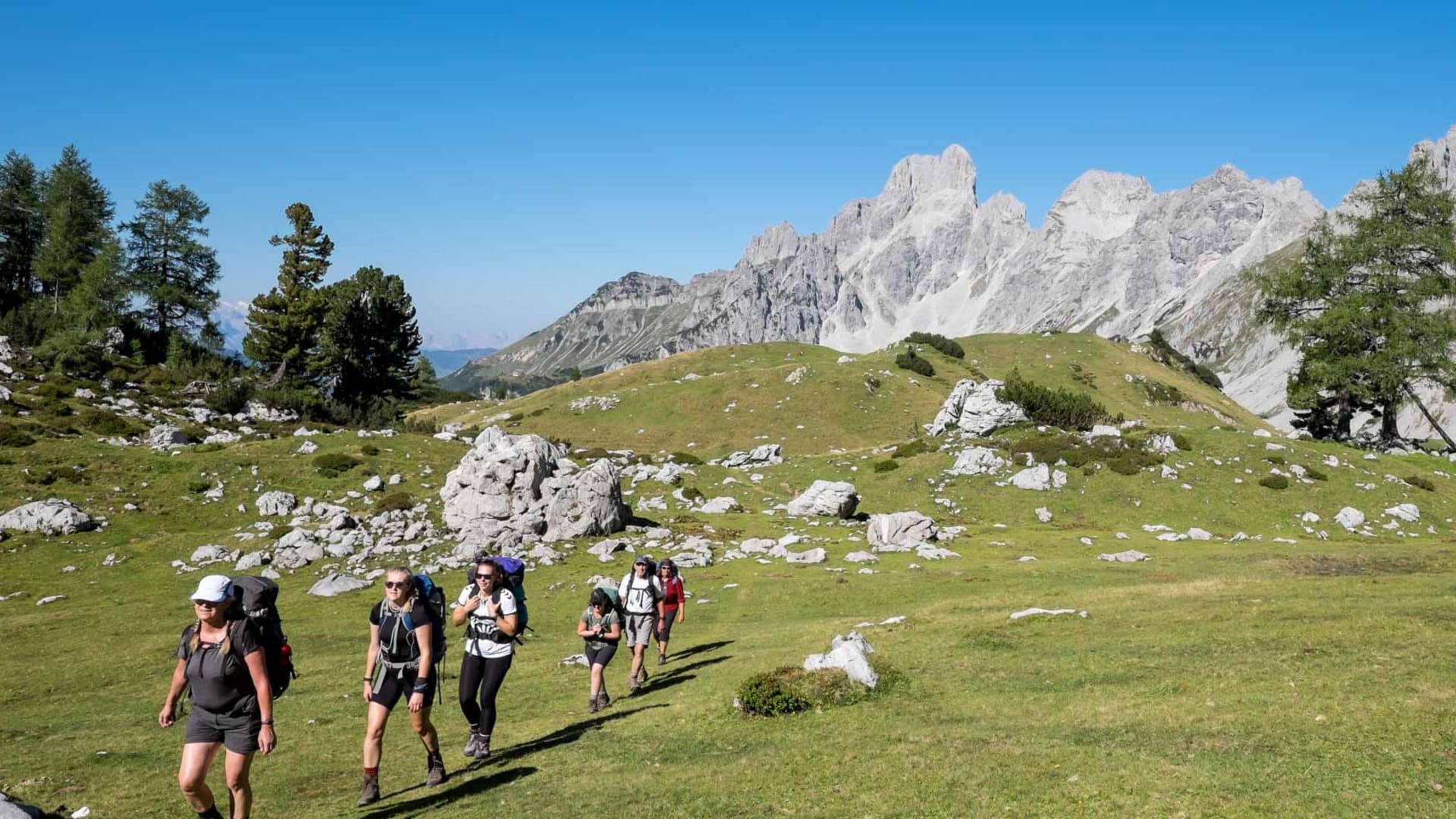 Fünf Personen bei der Bergwanderung am Dachstein auf einem grünen Almplateau, im Hintergrund der markante Kalkfelsgrat