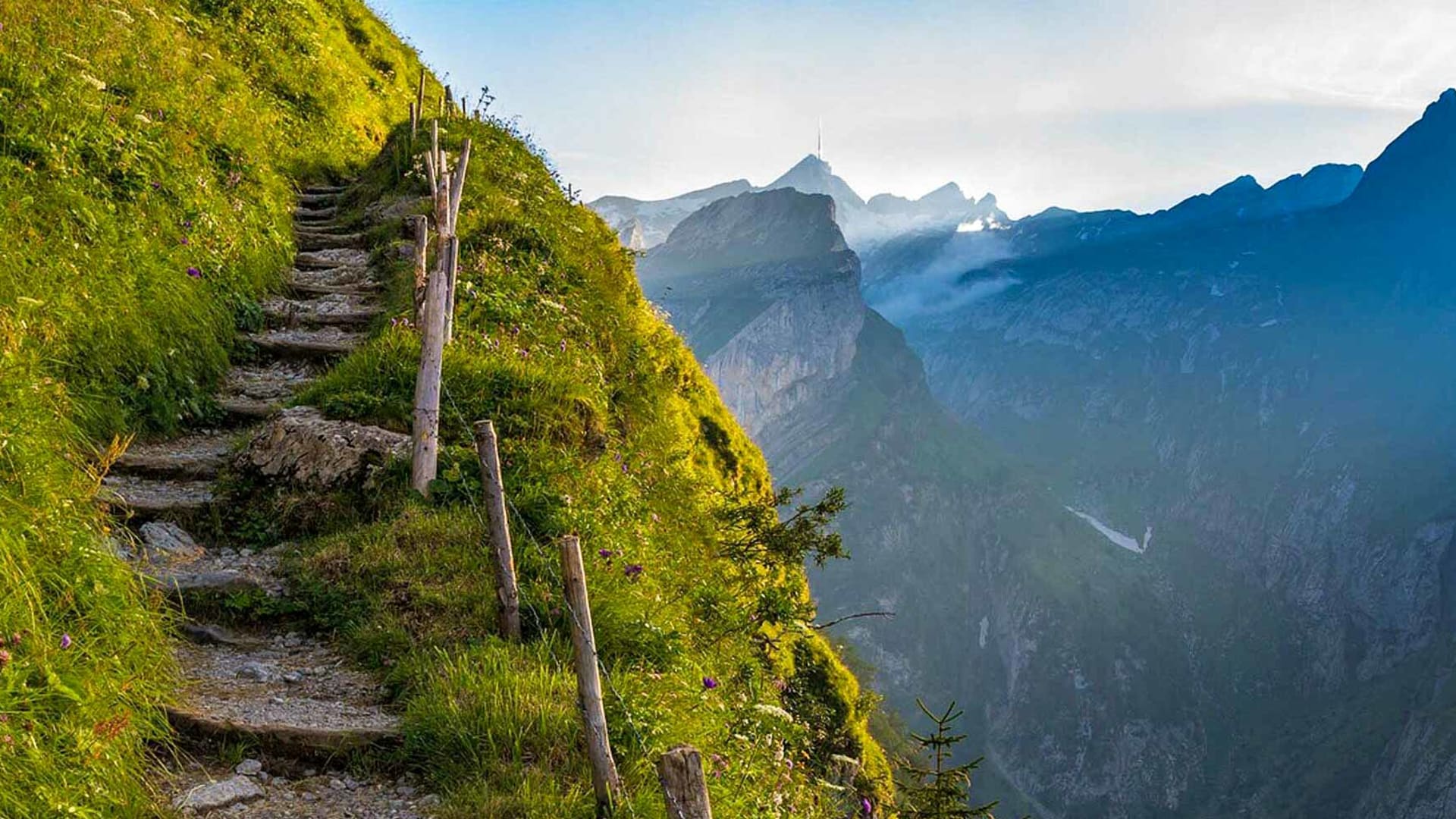 Bergwanderung im Alpstein: Steinstufenpfad mit Holzpfählen an steilem Grashang, Felswände und Gipfel mit Antenne im Hintergrund.