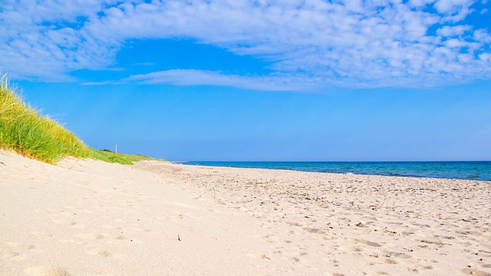 Menschenleerer Sandstrand auf Bornholm mit Dünengras links und blau-türkisem Meer im Hintergrund.