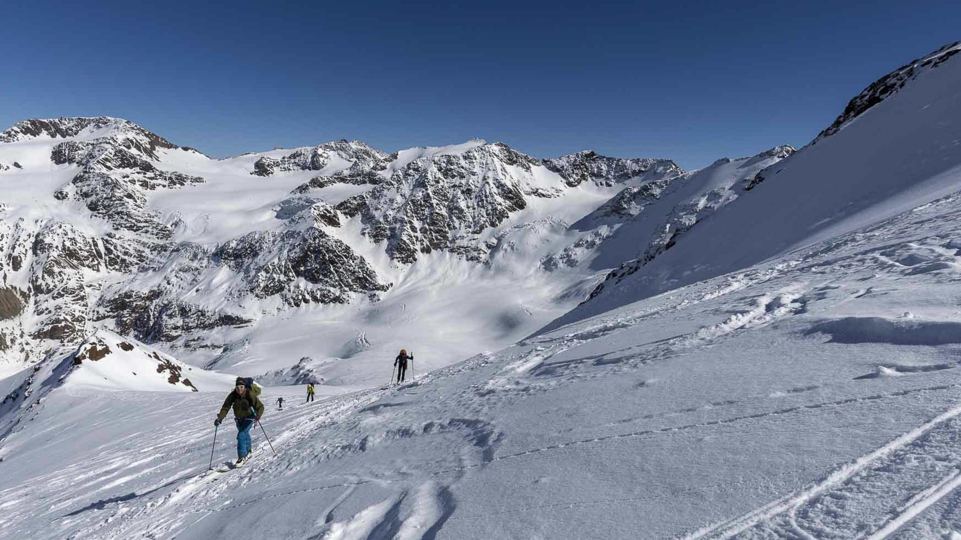 Vier Skitourengeher mit Fellen beim Aufstieg am Forno-Gletscher im Ortlergebiet.