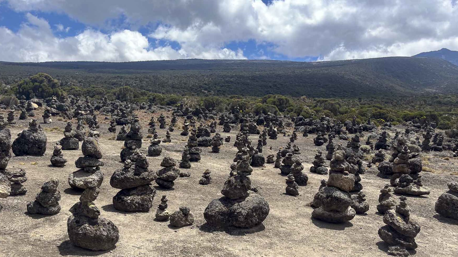 Trekking am Kilimandscharo in Tansania: Dutzende Cairns aus vulkanischem Gestein markieren den Weg über ein sandiges Hochplateau.