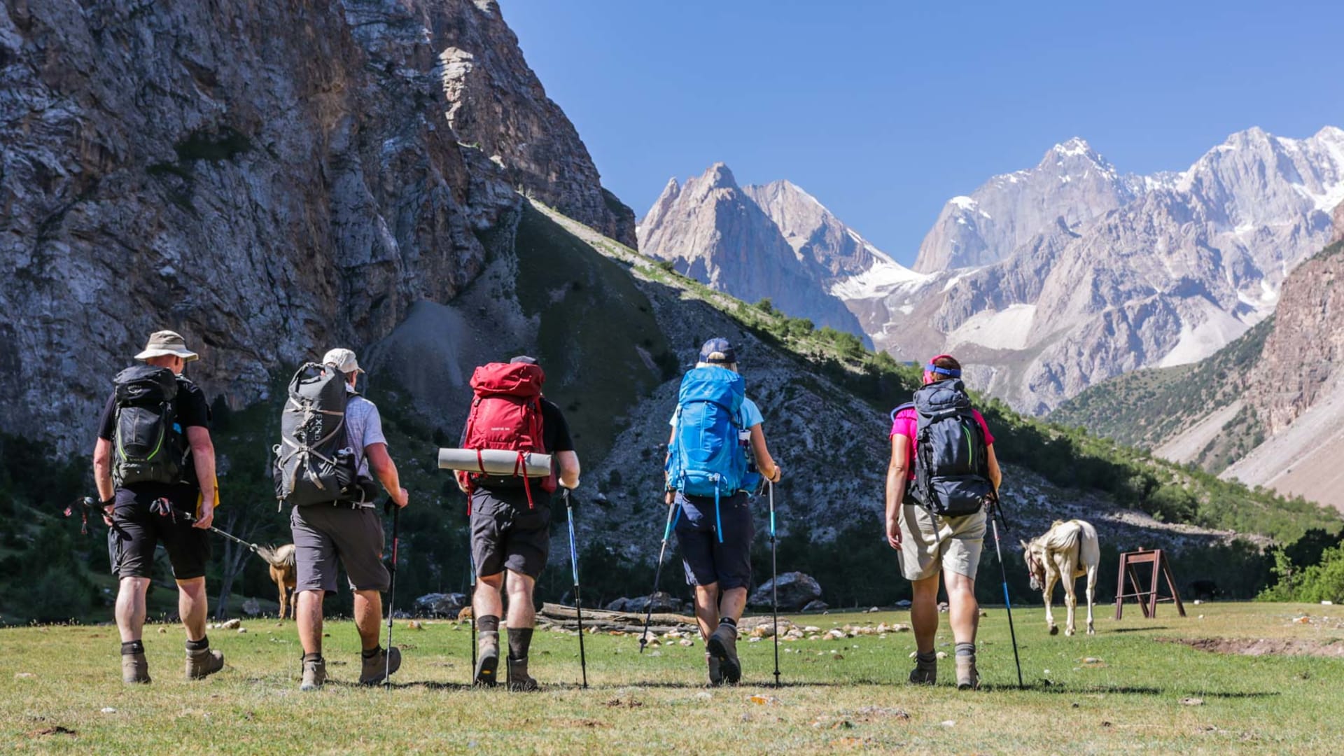 Fünf Personen mit Trekkingrucksäcken beim Trekking in Kirgistan auf grüner Almwiese vor Felsnadeln mit Schnee- und Gletscherfeldern