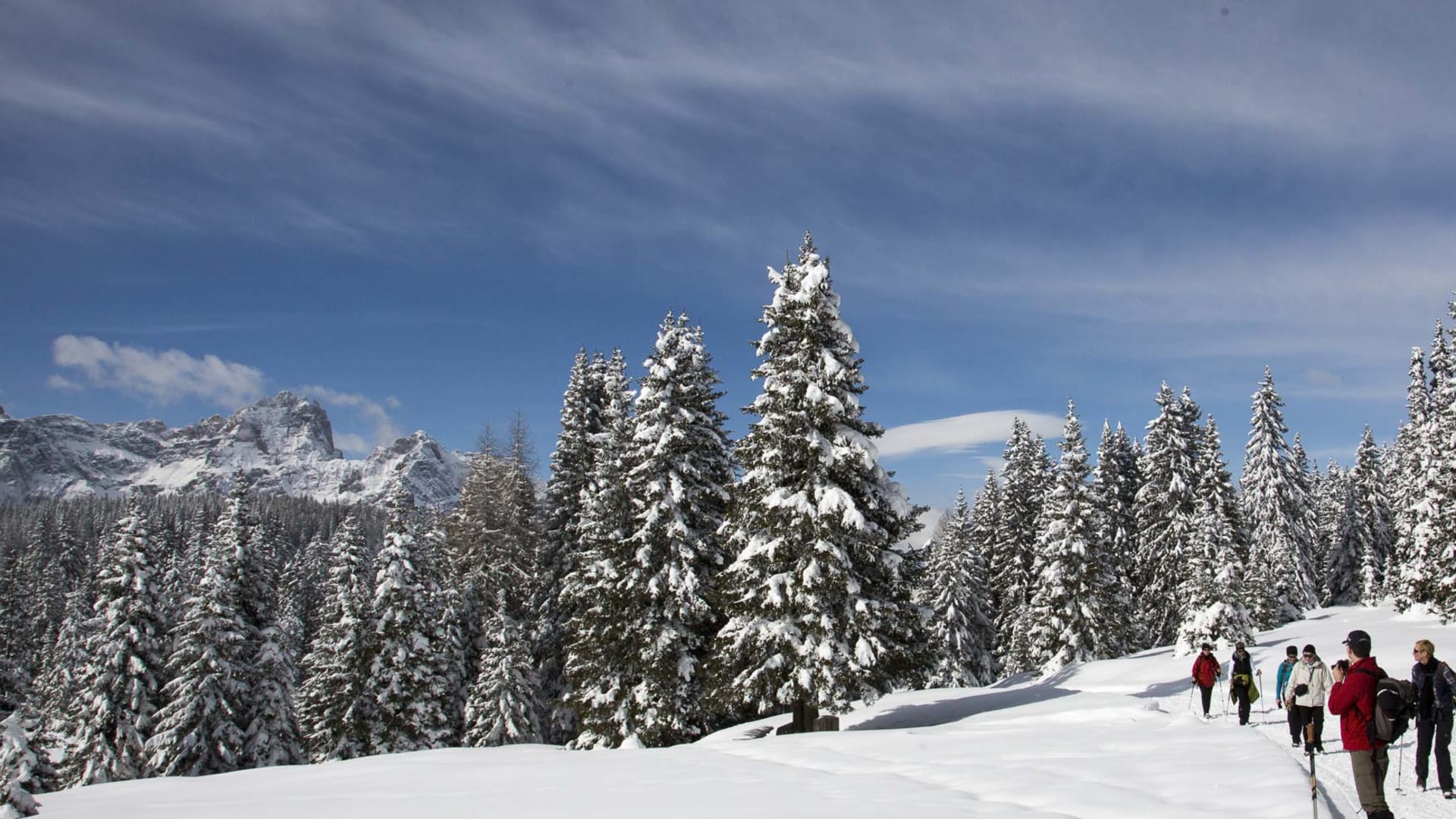 Winterwanderung am Karnischen Hauptkamm: Gruppe von sechs Winterwanderern mit Wanderstöcken auf verschneitem Hang.