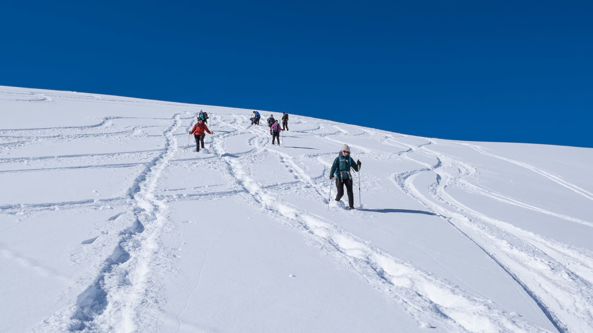 Gruppe von Schneeschuhwanderern steigt einen schneebedeckten Hang im Schwarzwassertal auf, Spuren im Neuschnee.