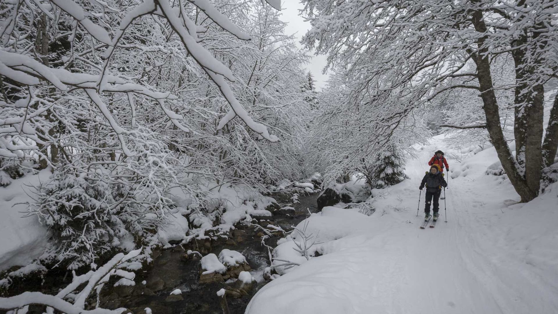 Zwei Skitourengeher mit Fellen steigen durch verschneiten Wald im Zustieg zur Lizumer Hütte auf, ein Bach fließt links.
