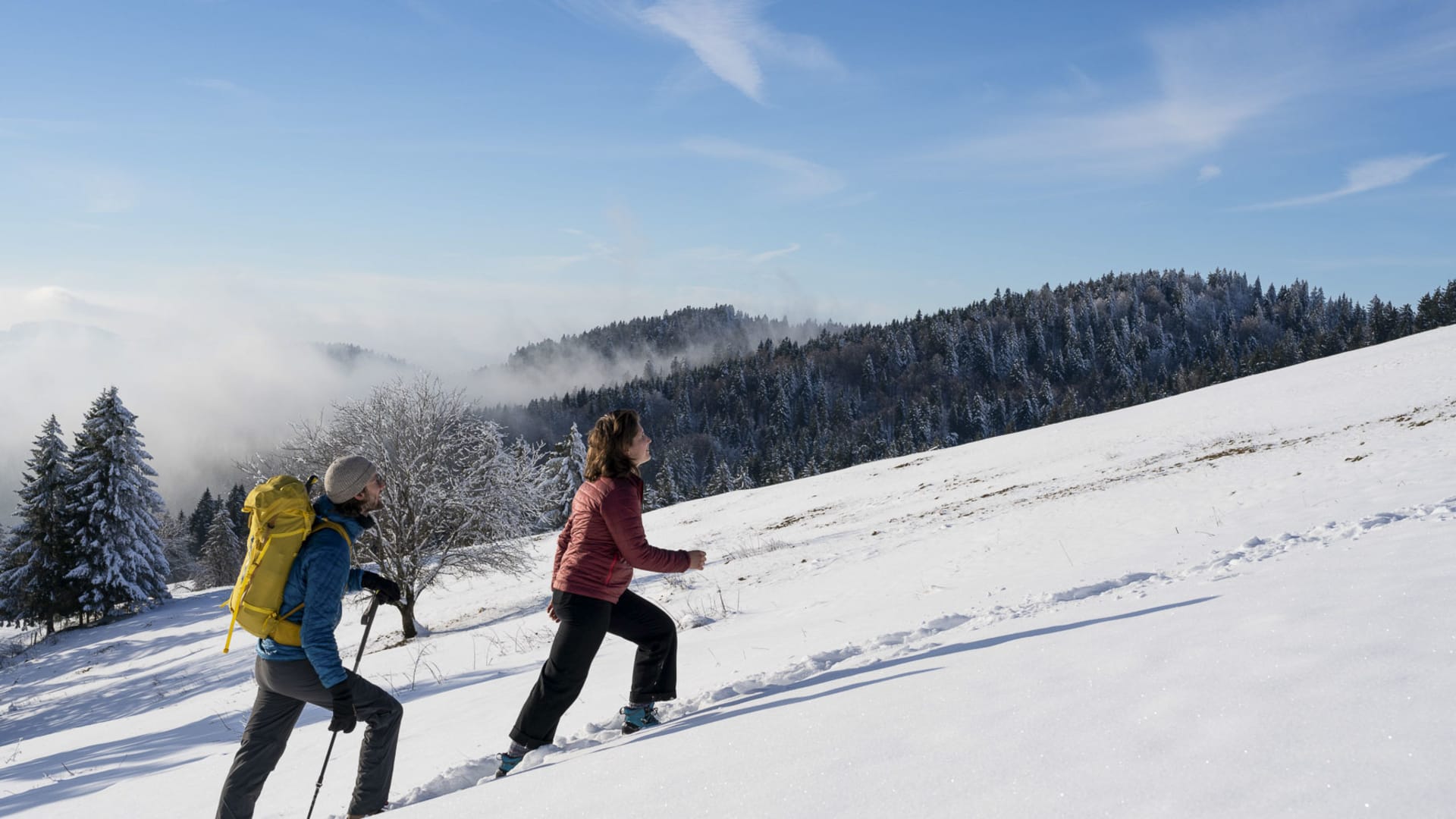 Zwei Winterwanderer steigen mit Wanderstock einen verschneiten Hang am Hochgrat bei Oberstaufen auf.