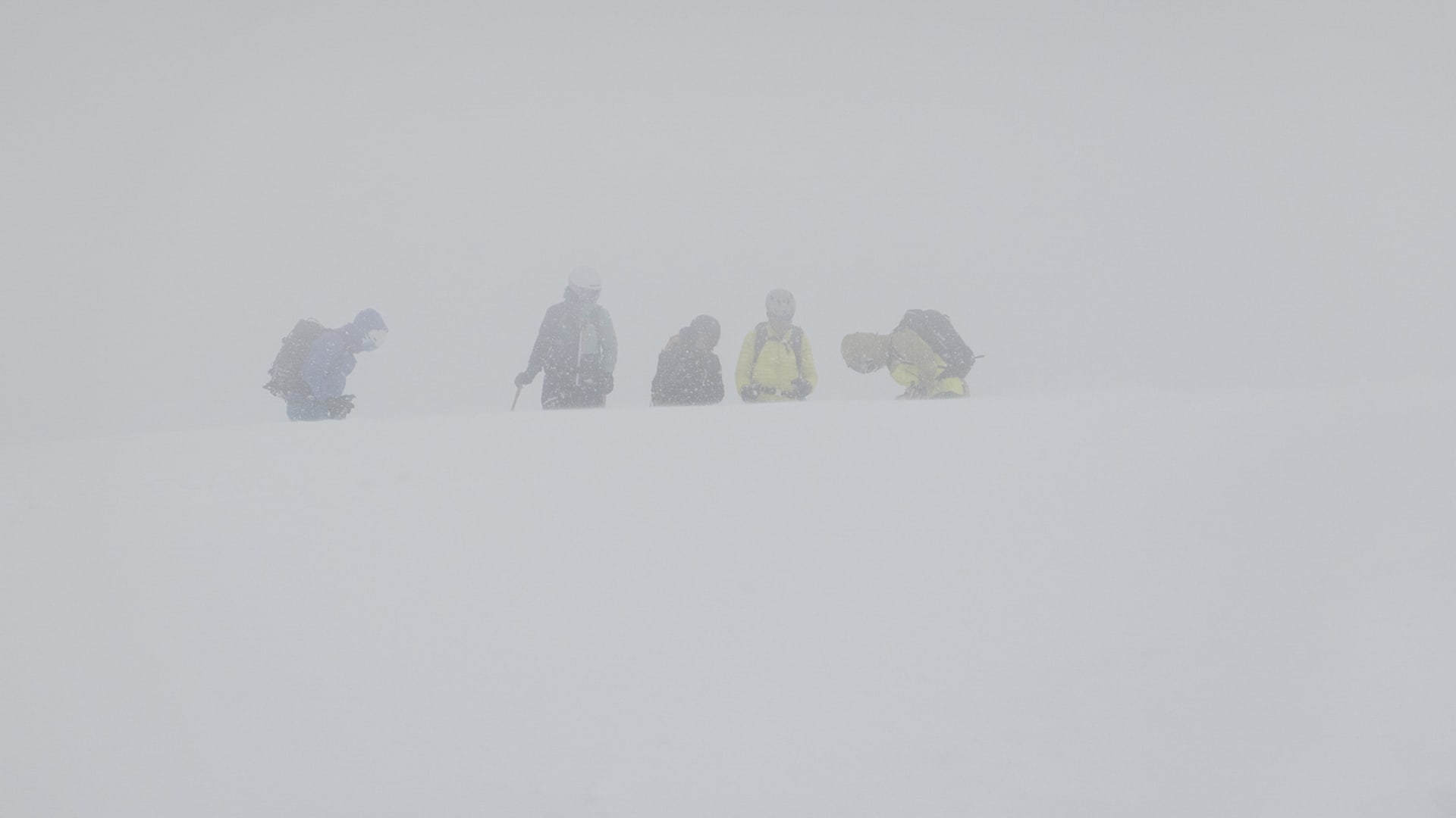 Fünf Skitourengeher stehen im dichten Schneetreiben bei Whiteout-Bedingungen am Forno Gletscher in der Lombardei.
