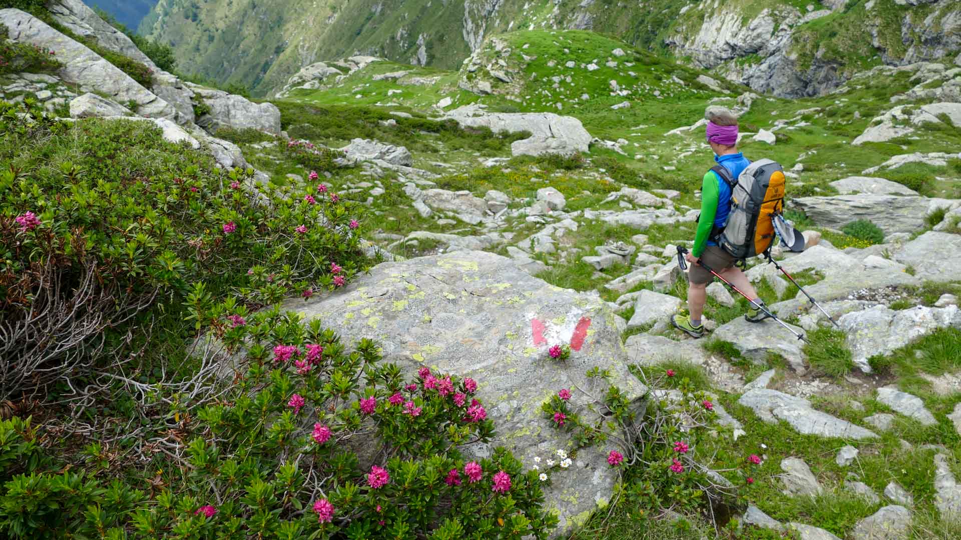 Bergwanderer folgt mit Wanderstock einer roten GTA-Wegmarkierung auf dem felsigen Abstiegspfad nach Priamprato.