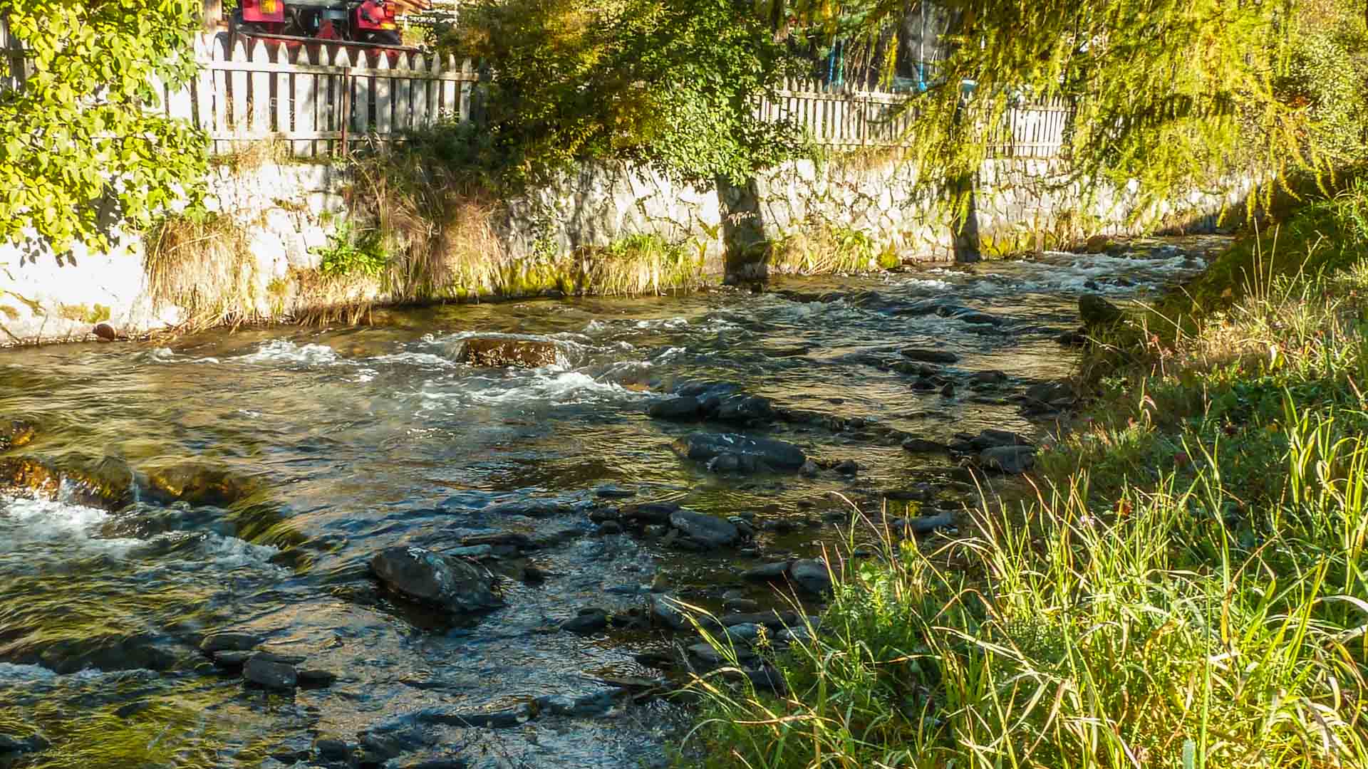 Klarer Gebirgsbach mit Weißwasser über dunkle Steine im Ahrntal in Südtirol, umgeben von grüner Ufervegetation.