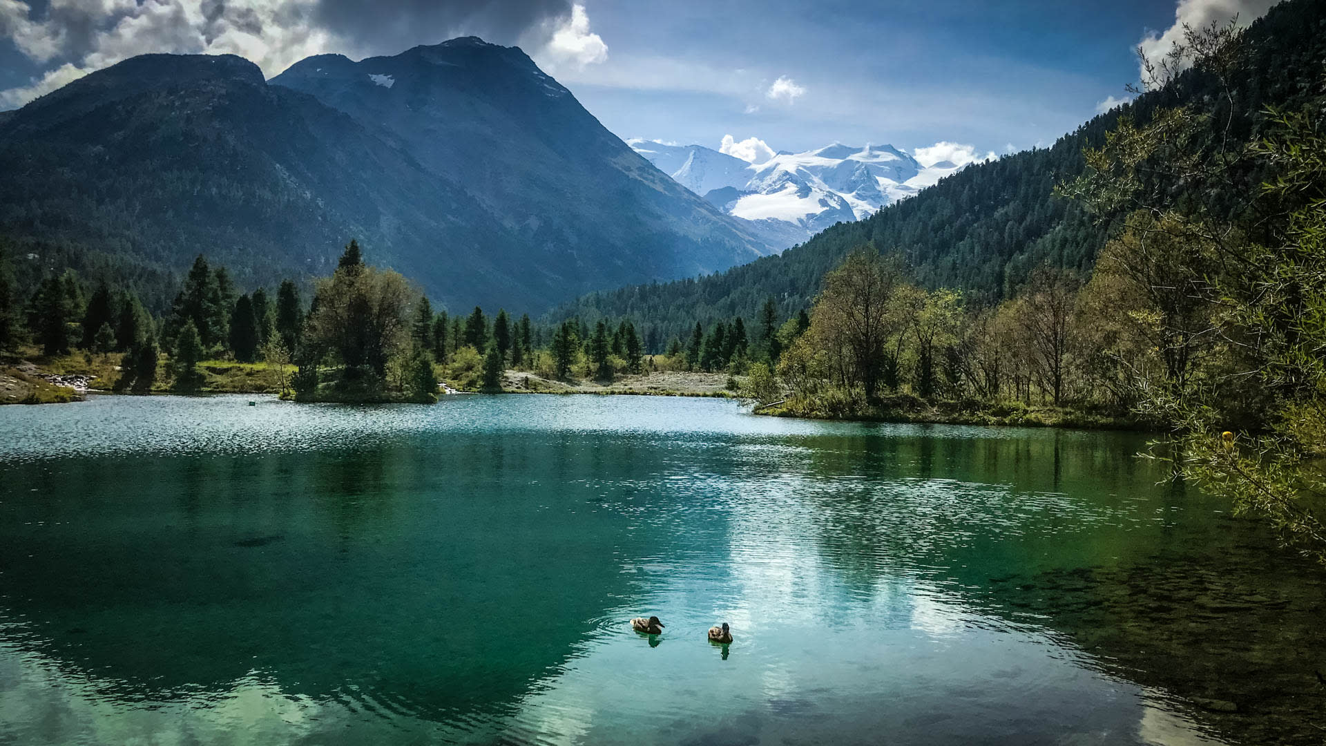 Bergwanderung am türkis-grünen Bergsee mit Spiegelung; im Hintergrund der vergletscherte Kamm des Piz Palü.