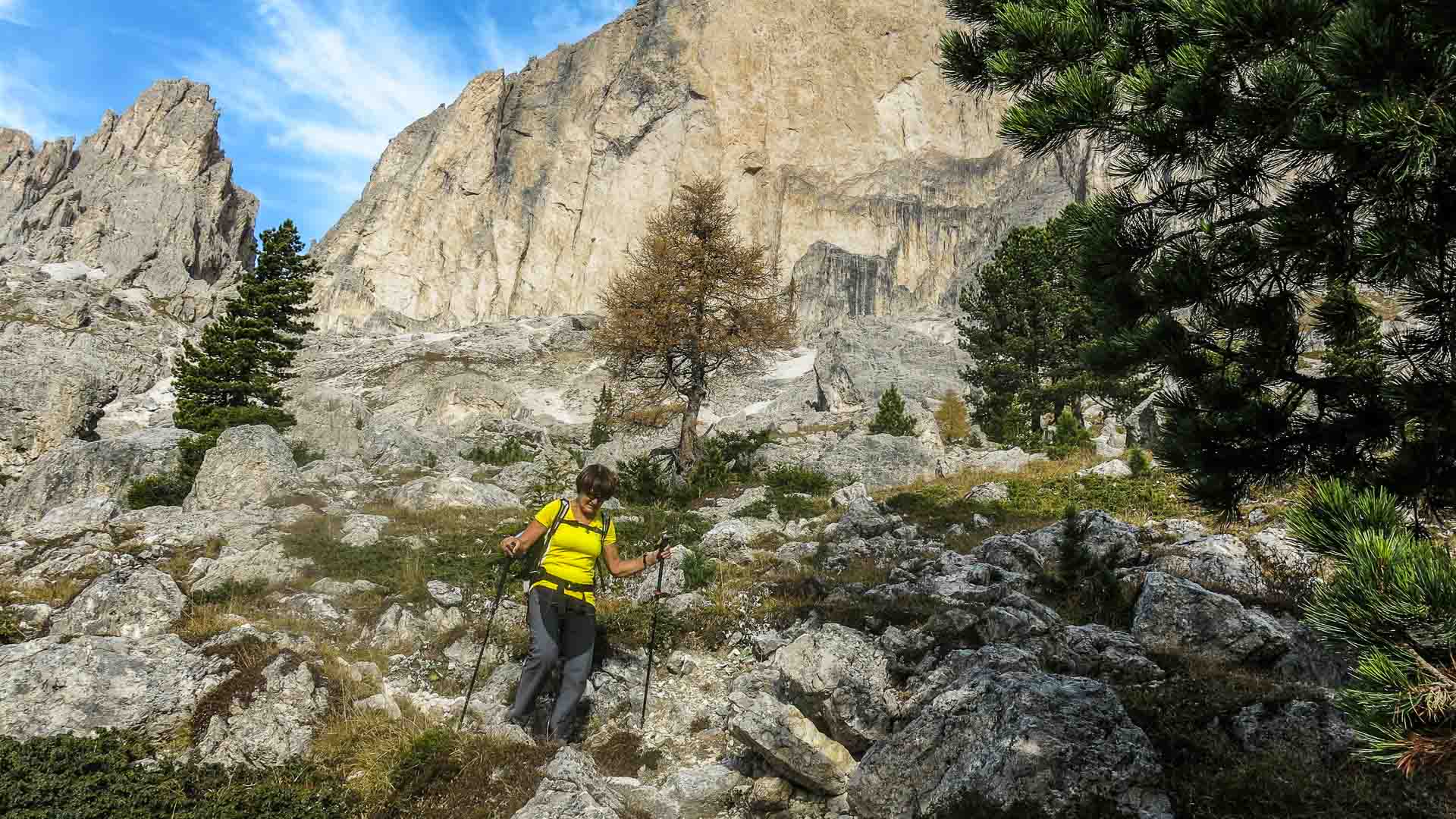 Bergwanderung in den Dolomiten Südtirol: Wanderer mit gelbem T-Shirt und Stöcken steigt über verwitterten Kalkfels