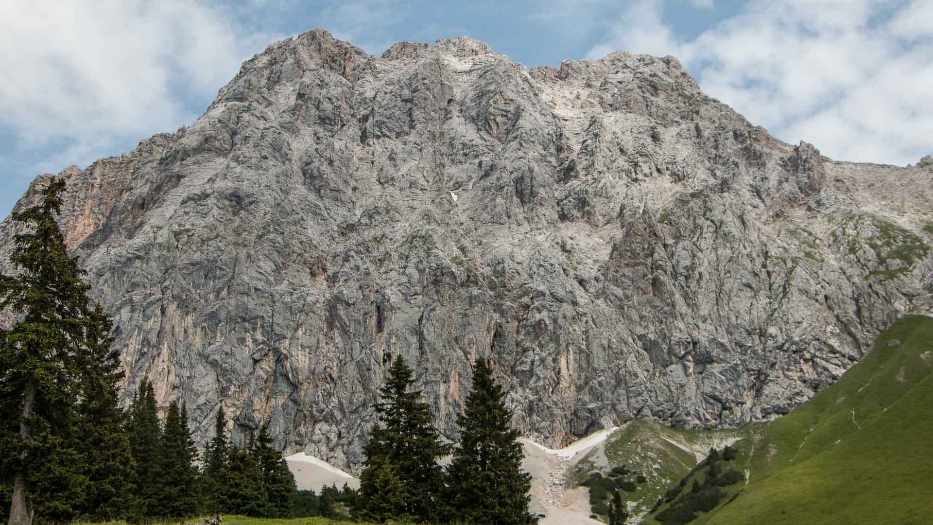 Bergwanderung bei der Ehrwalder Alm Bahn: senkrechte Kalksteinwand mit Schuttkegel, Nadelbäumen und grünem Hang