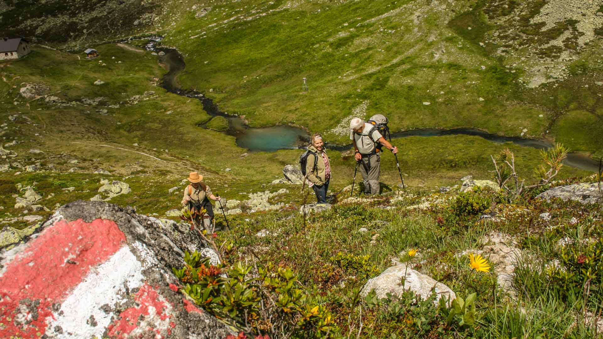 Drei Bergwanderer mit Wanderstöcken steigen einen grasbewachsenen Hang in Tirol auf, im Hintergrund ein türkisblauer Bergsee