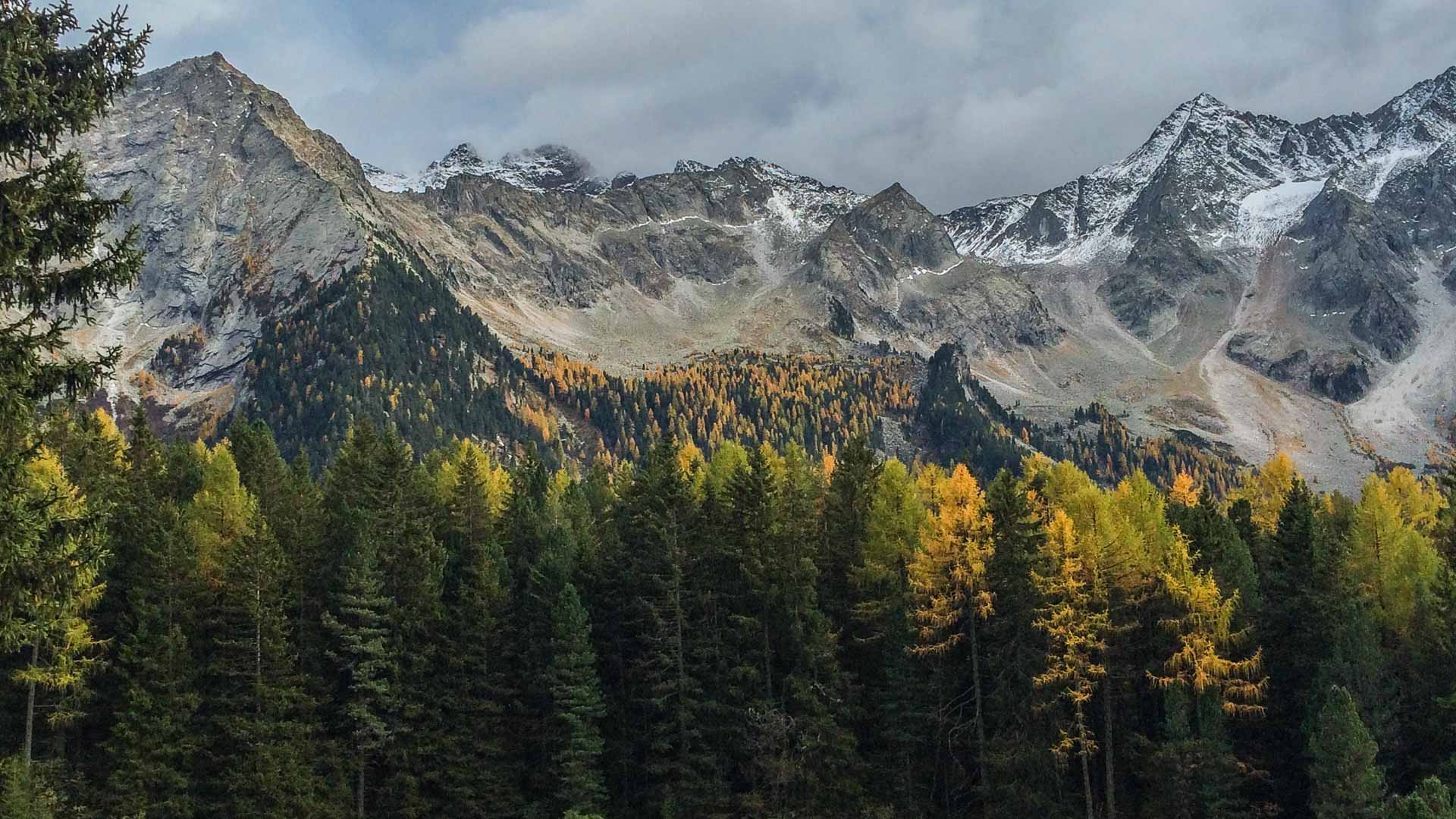 Herbstliches Bergpanorama in Südtirol mit gelb-orangen Lärchen, felsigen Gipfeln und frischer Schneeauflage unter bewölktem Himmel.