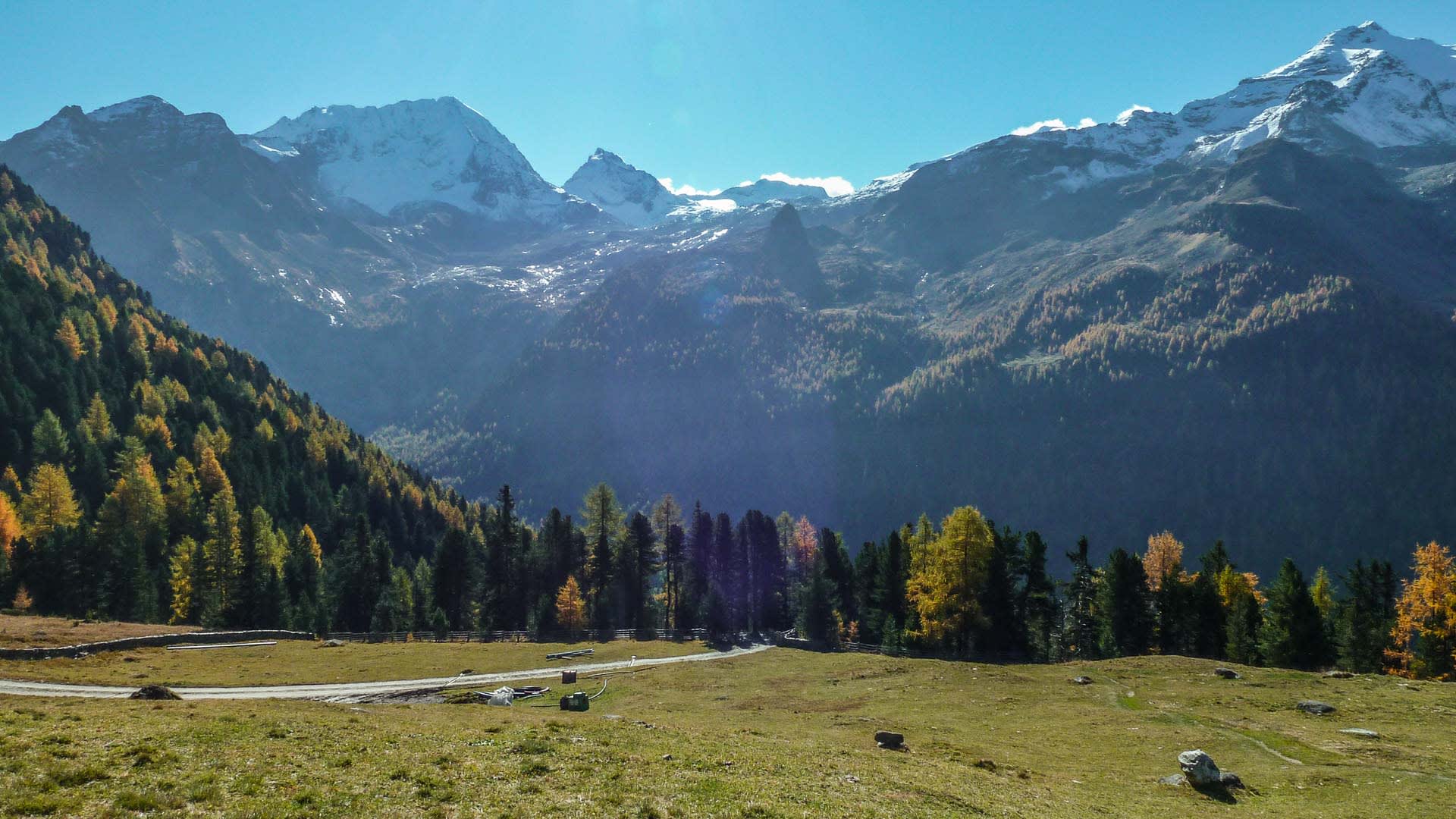Bergwanderung im Ahrntal: weitläufiges Hochtal mit goldgelb verfärbten Lärchen, Schotterweg und schneebedeckten Gipfeln