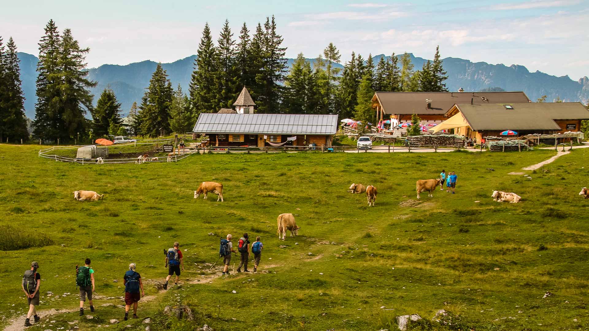 Bergwanderung zur Kührointalm am Watzmann: Gruppe von sechs Bergwanderern auf dem Weg zur Almhütte mit Rinderweide.