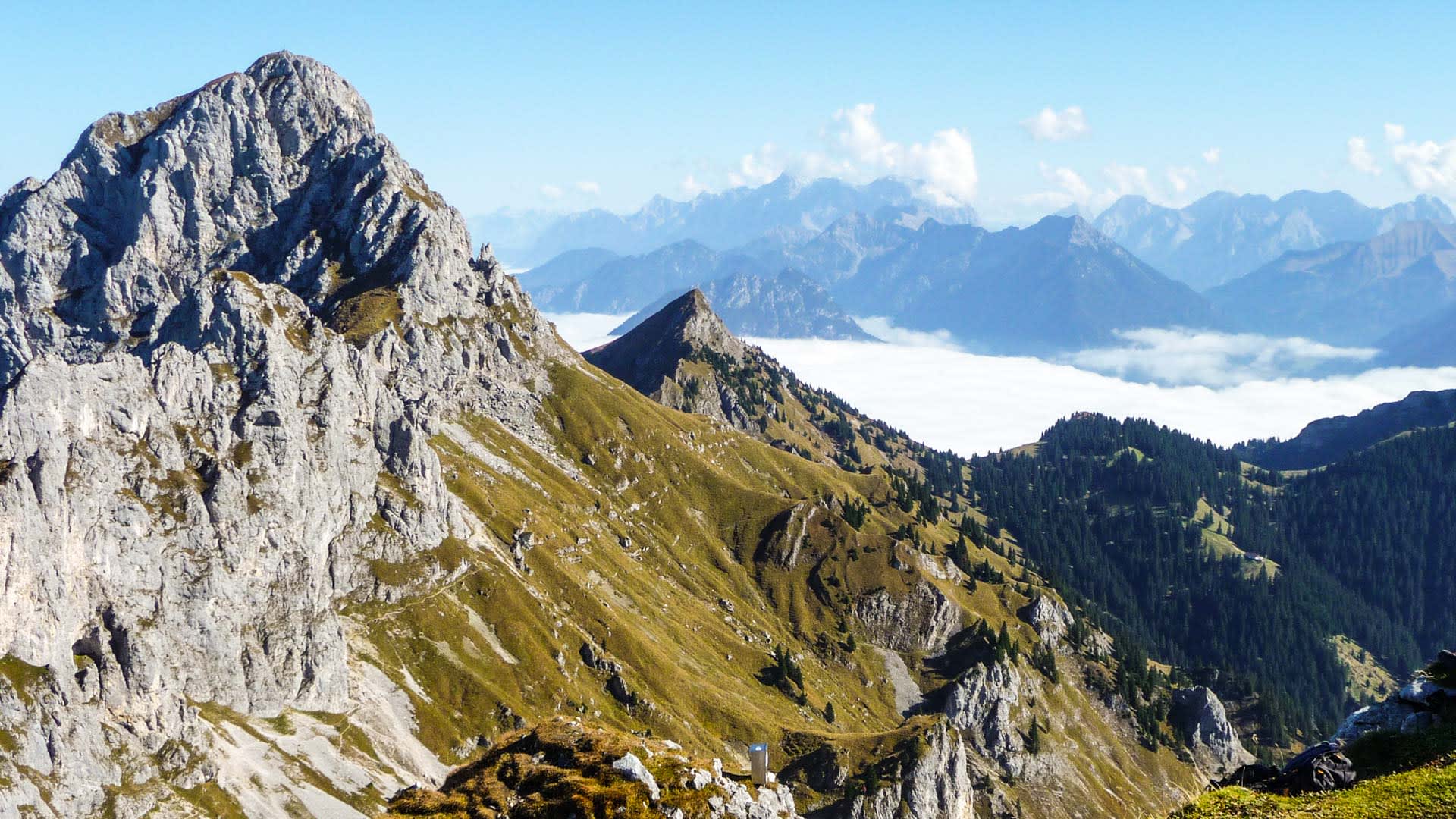 Bergwanderung im Tannheimer Tal mit Blick auf den Felsgipfel der Roten Flüh und einen begrünten Grat im Sommer.