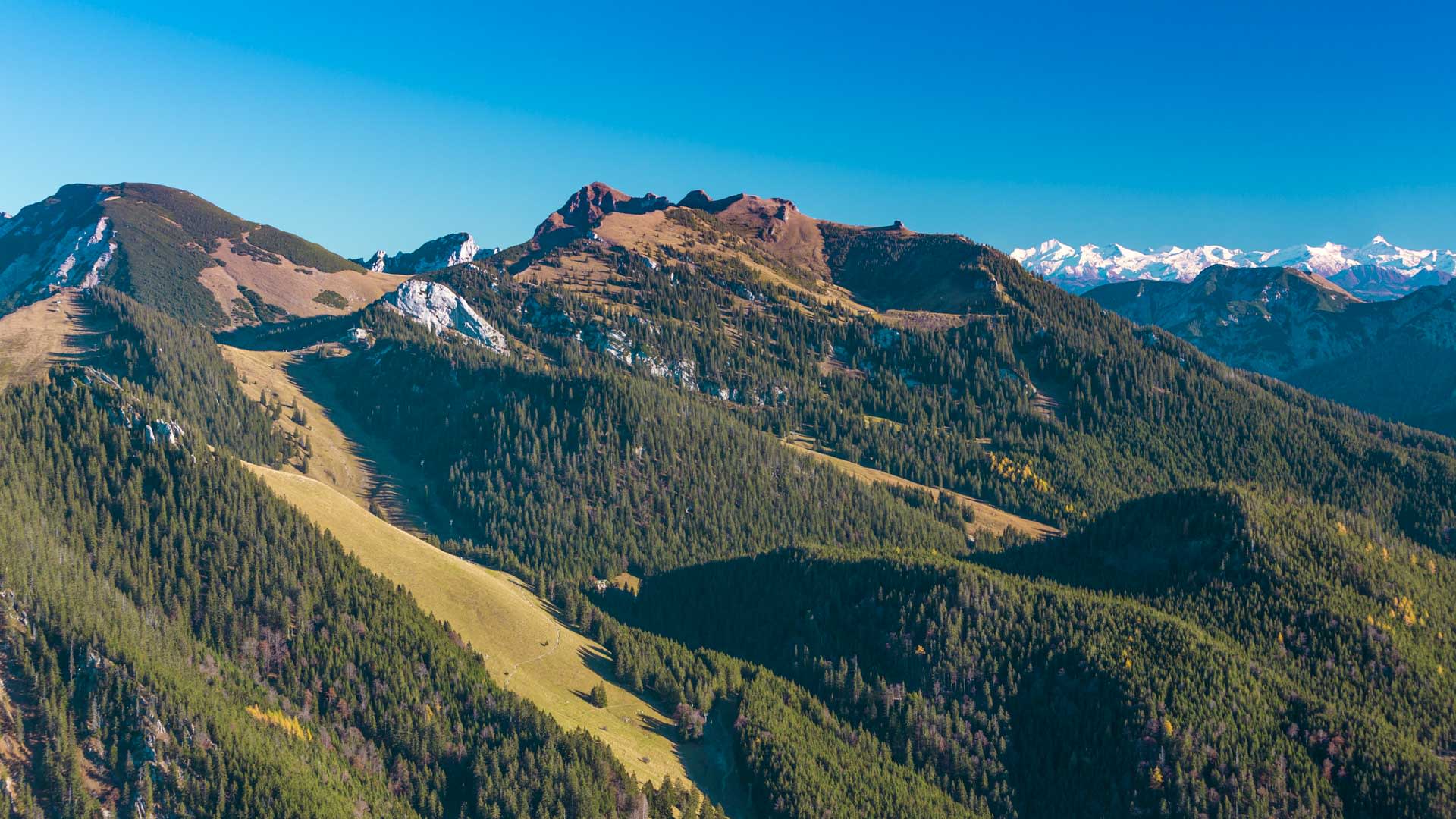 Bergwanderung an Rotwand und Taubenstein am Spitzingsee: rotbrauner Felsgipfel mit Almhängen und Hochgebirgskette im Herbst.