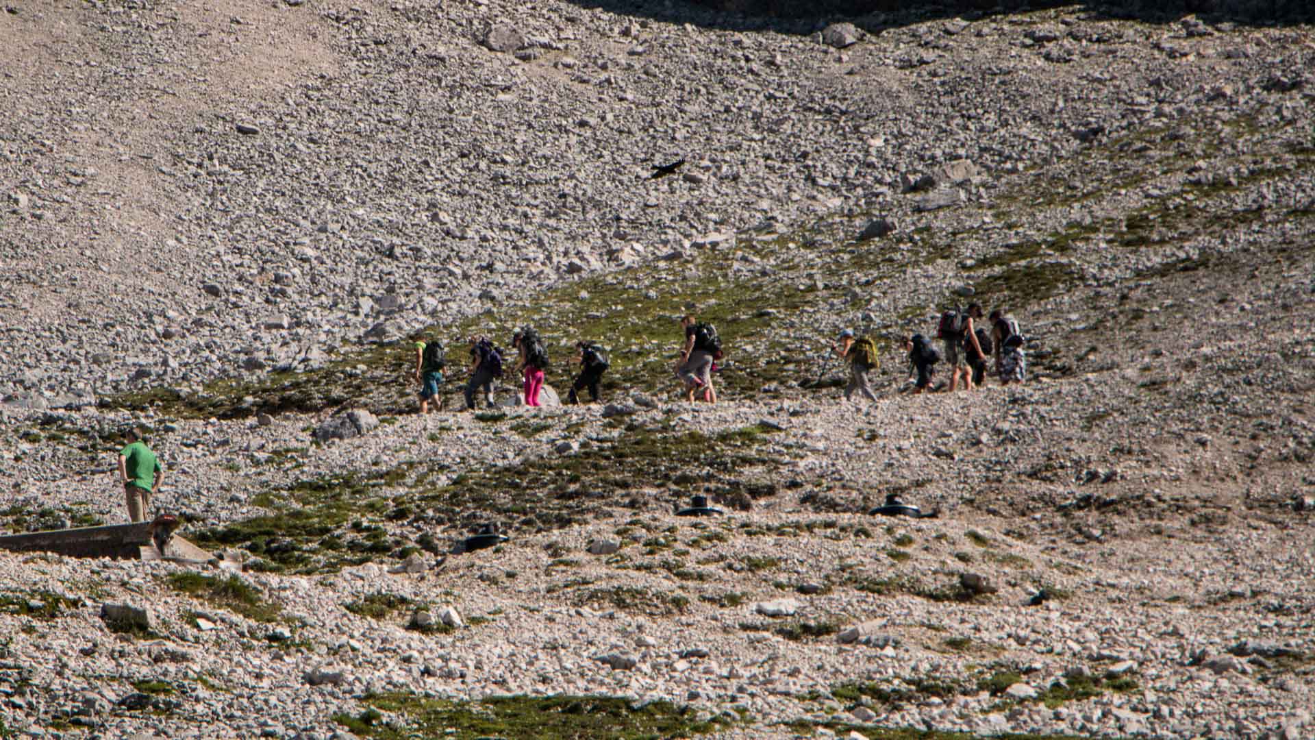 Bergwanderung auf der Wettersteinrunde: Gruppe von 12–14 Bergwanderern steigt mit Rucksäcken über Kalksteinschutt zwischen Ehrwald