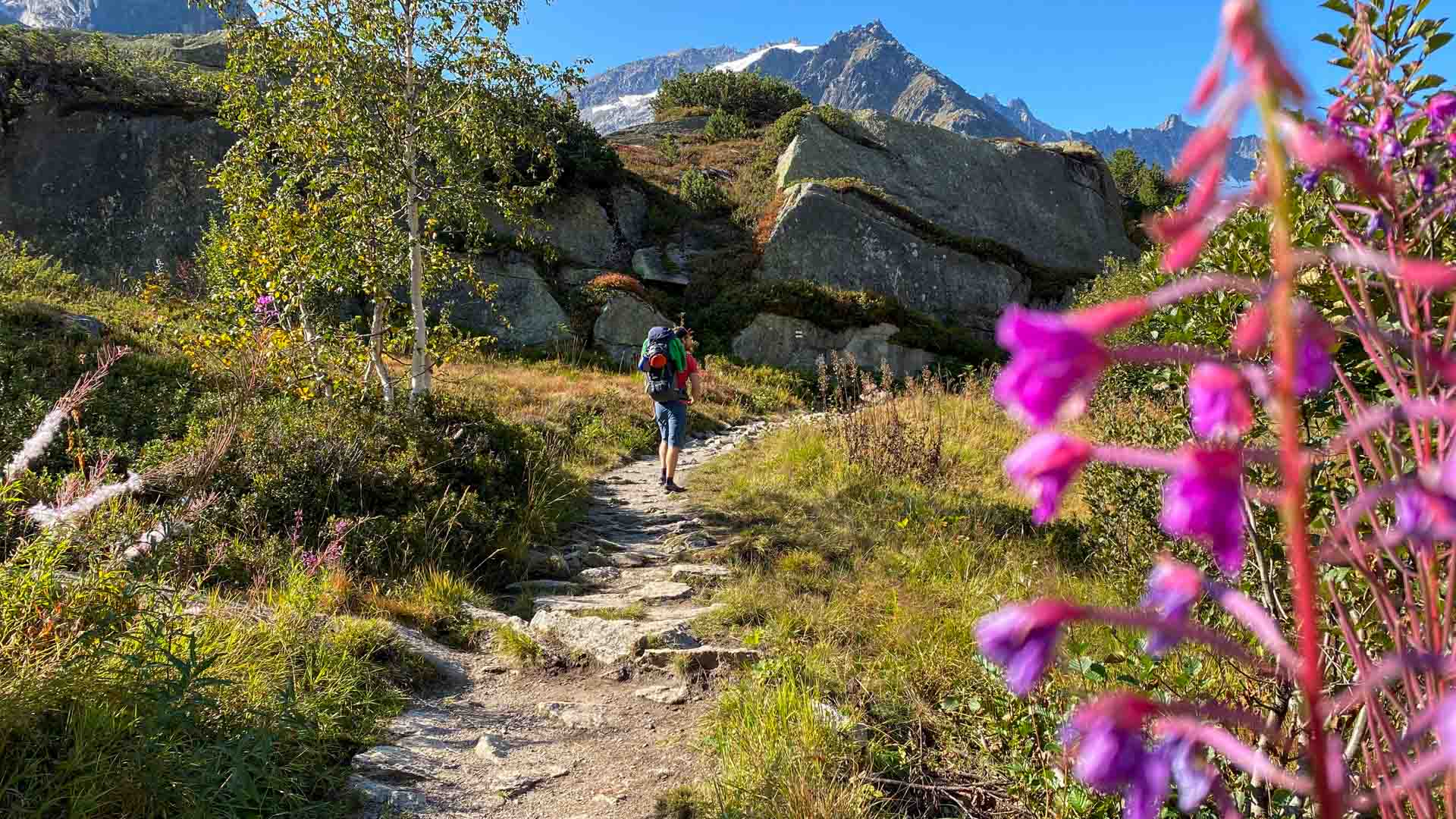 Bergwanderung in der Schweiz: Bergwanderer mit Rucksack auf gepflastertem Natursteinweg mit schneebedecktem Gipfel im Hintergrund.