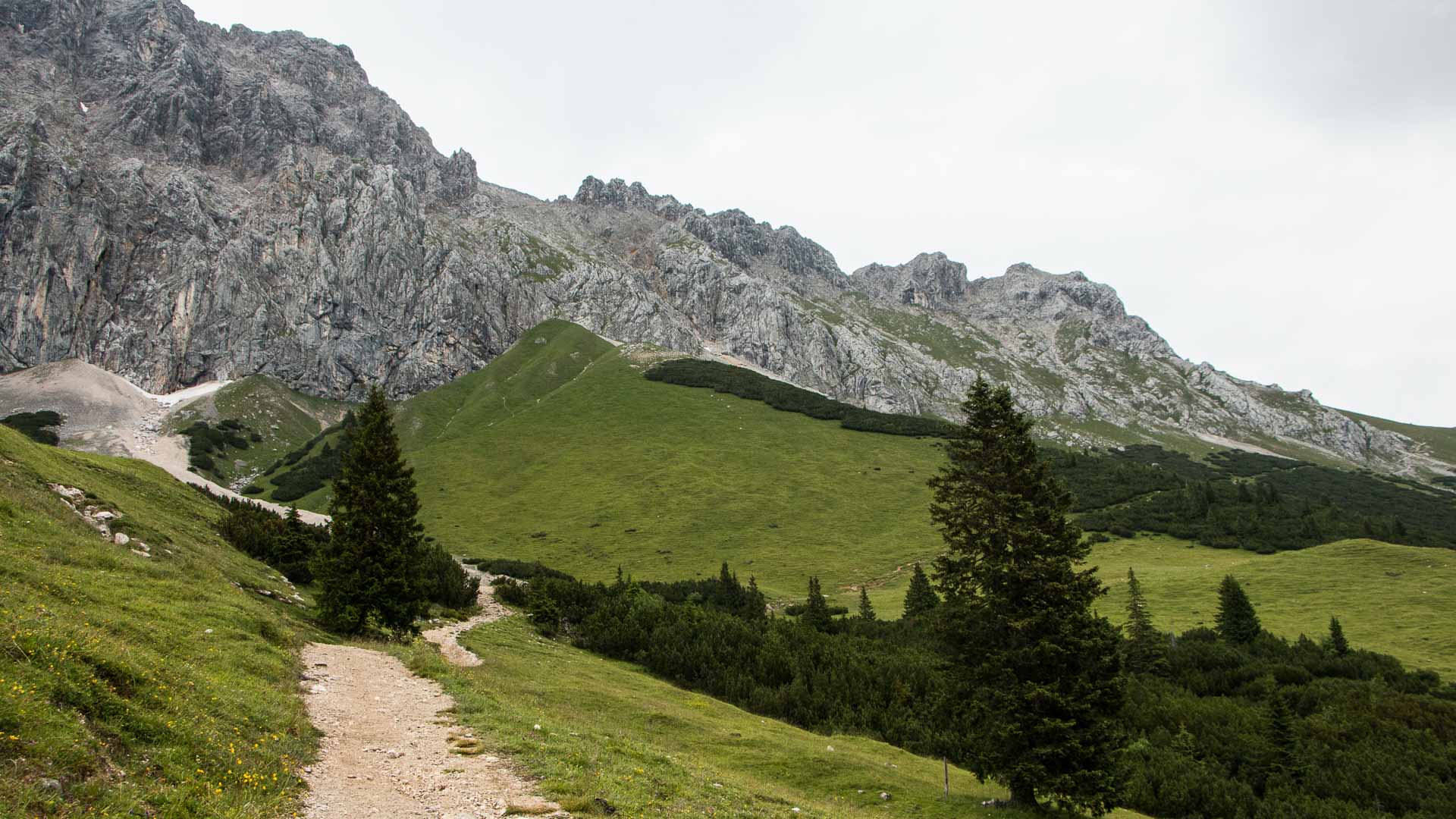 Schmaler Wanderpfad entlang grasbewachsenem Hang bei Ehrwald in Tirol mit Kalkfelsenwand im Hintergrund.