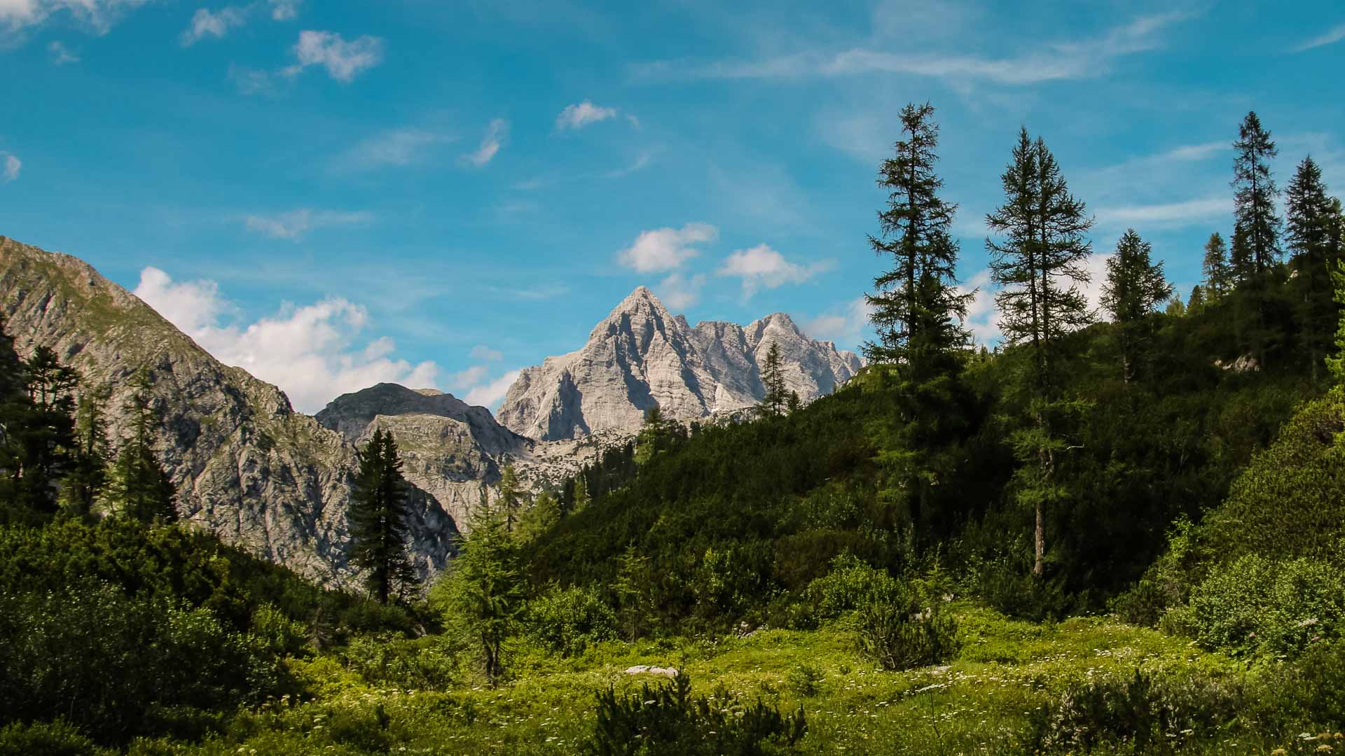 Bergwanderung zur Watzmann Südspitze: Blick auf den markanten Kalkfelsturm über grüner Almwiese im Sommer.