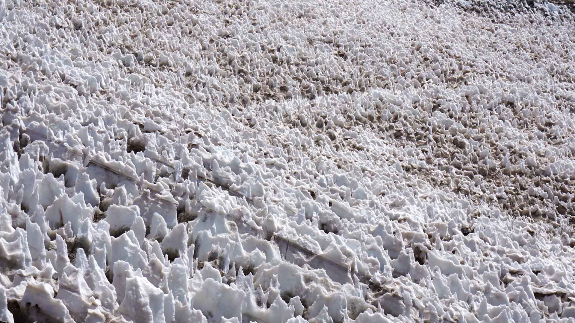 Expedition in den Anden: Nahaufnahme von Penitentes – aufgerichtete Eis- und Schneezapfen mit dunklem Gerölluntergrund.