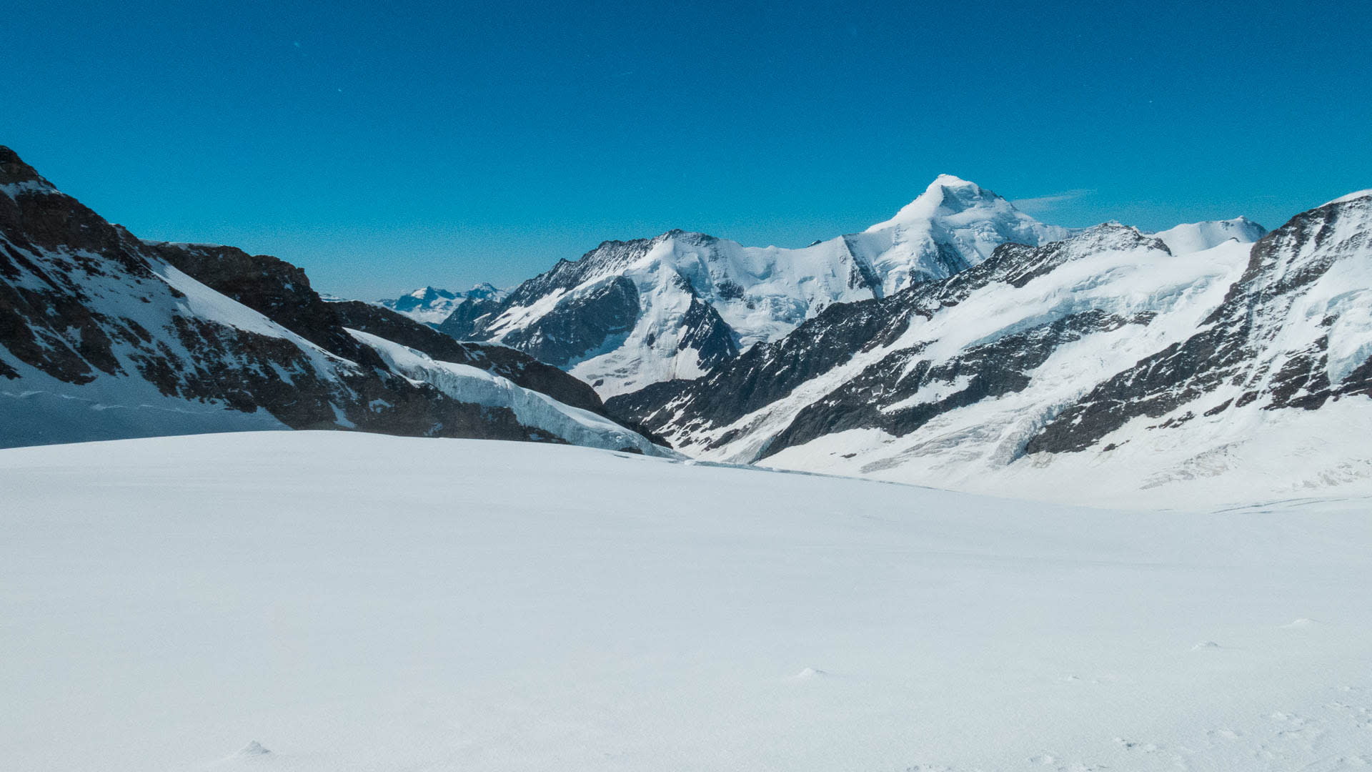 Hochtour in den Berner Alpen: Blick über das Aletschgletscher-Plateau zum Aletschhorn im Hintergrund.