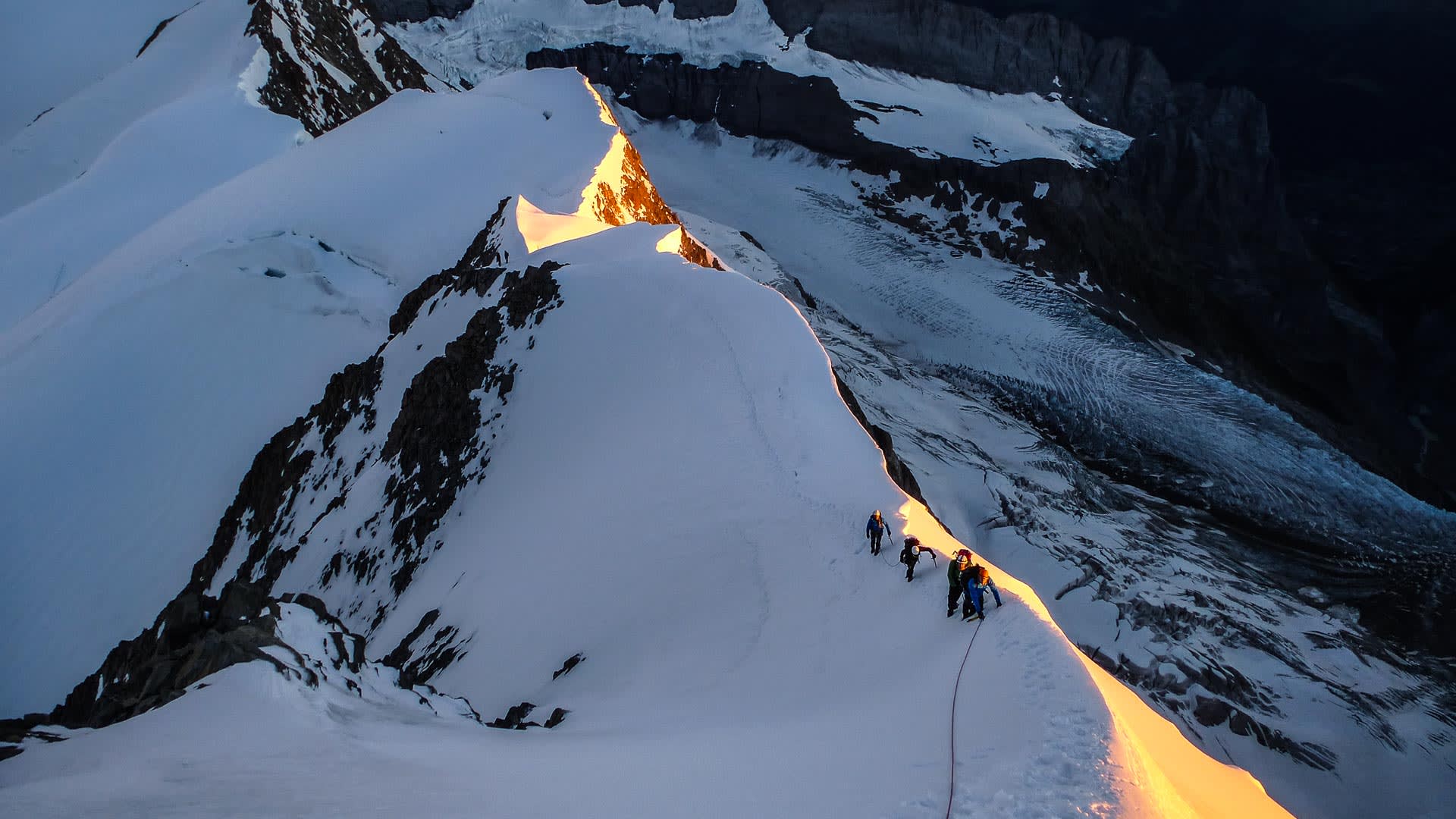Drei Bergsteiger steigen im Morgenrot auf schmalem Firngrat zum Fiescherhorn auf, ein roter Seil verbindet sie.