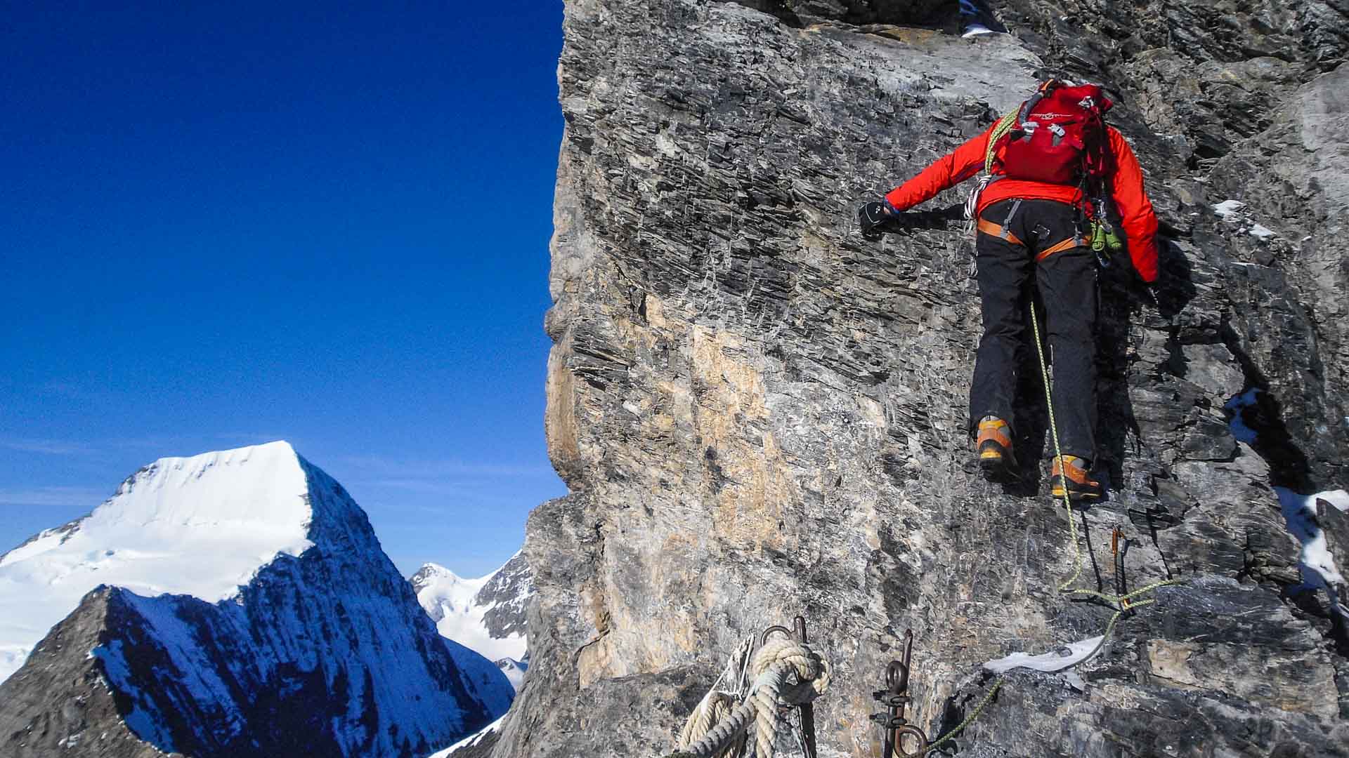 Hochtour am Schreckhorn: Bergsteiger klettert an senkrechter Felswand, im Hintergrund vergletscherte Gipfel und blauer Himmel.