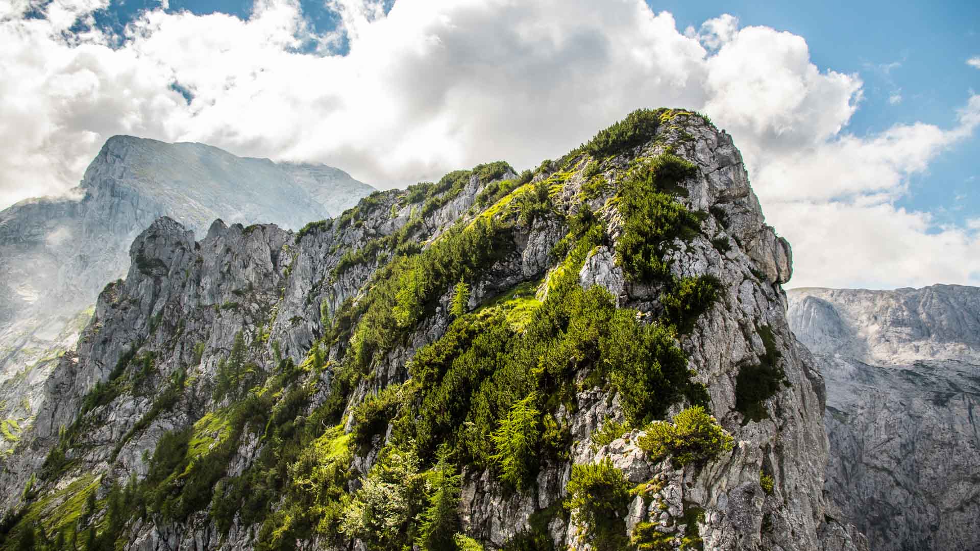 Klettern am Mannlgrat: zerklüfteter Kalkfelsriegel mit Latschenkiefern und Blick auf den Hohen Göll im Hintergrund.