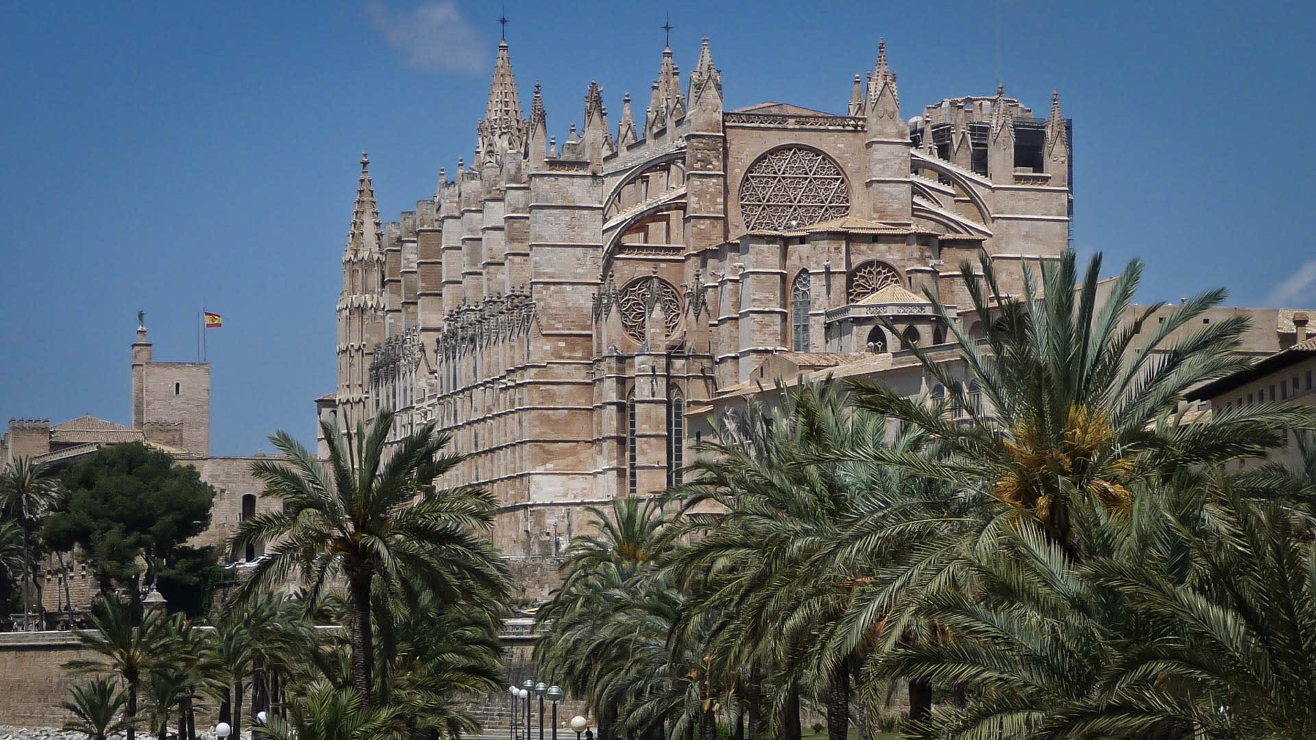 Klettern auf Mallorca: Gotische Kathedrale von Palma de Mallorca aus hellem Sandstein mit Palmenallee