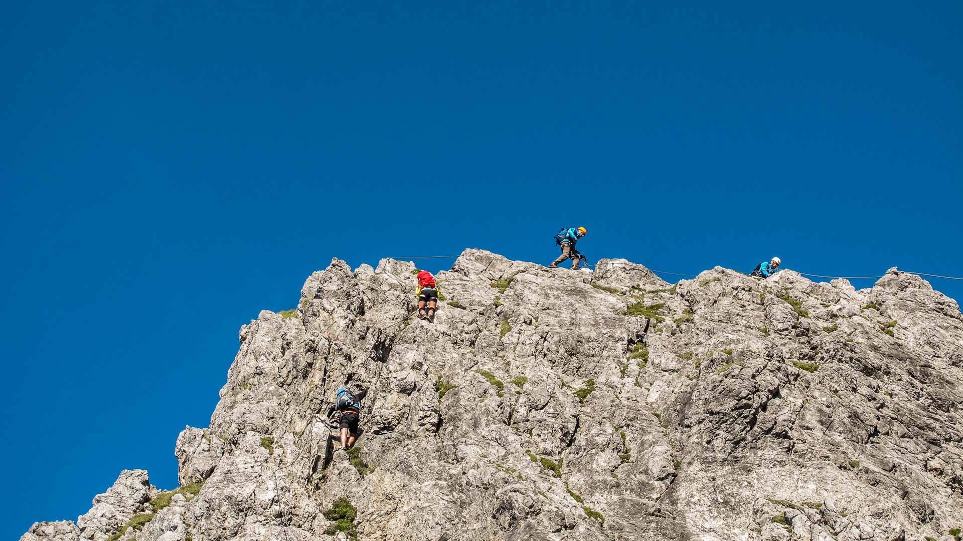 Klettersteig Königsjodler Berchtesgadener Alpen: Vier Personen klettern seilgesichert am steilen Kalkgrat in der Froschperspektive