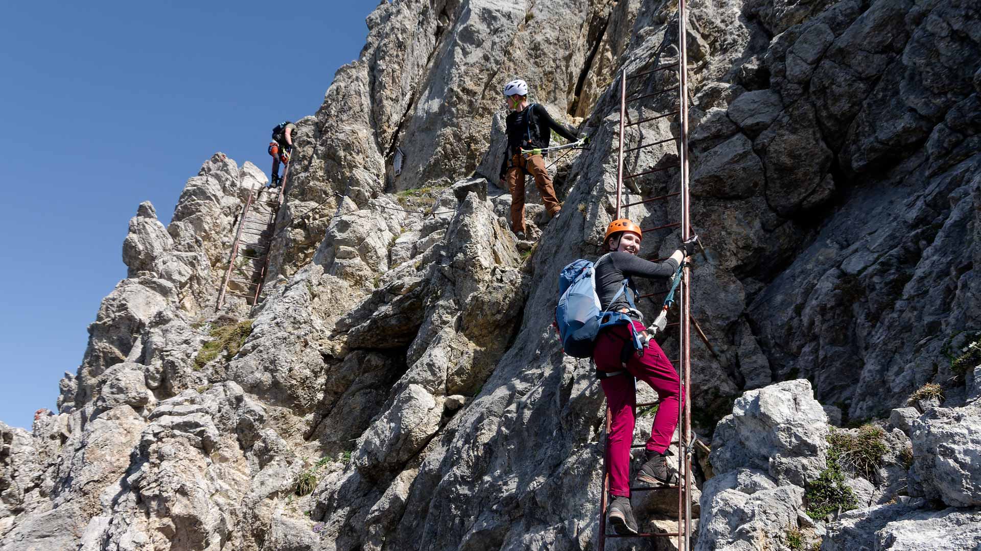 Drei Klettersteiggeher steigen eine Metallsteigleiter am Mittenwalder Höhenweg im Kalkfels auf.