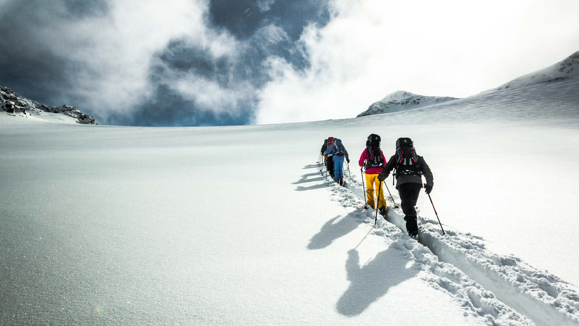 Vier Skitourengeher mit Fellen und Rucksäcken steigen in Einerspur auf einem offenen Schneefeld in der Silvretta auf.