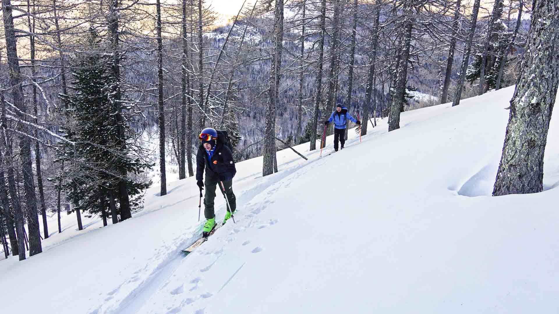 Zwei Skitourengeher mit Fellen steigen durch Tiefschnee und Nadelwald im Altai bei Ridder auf.