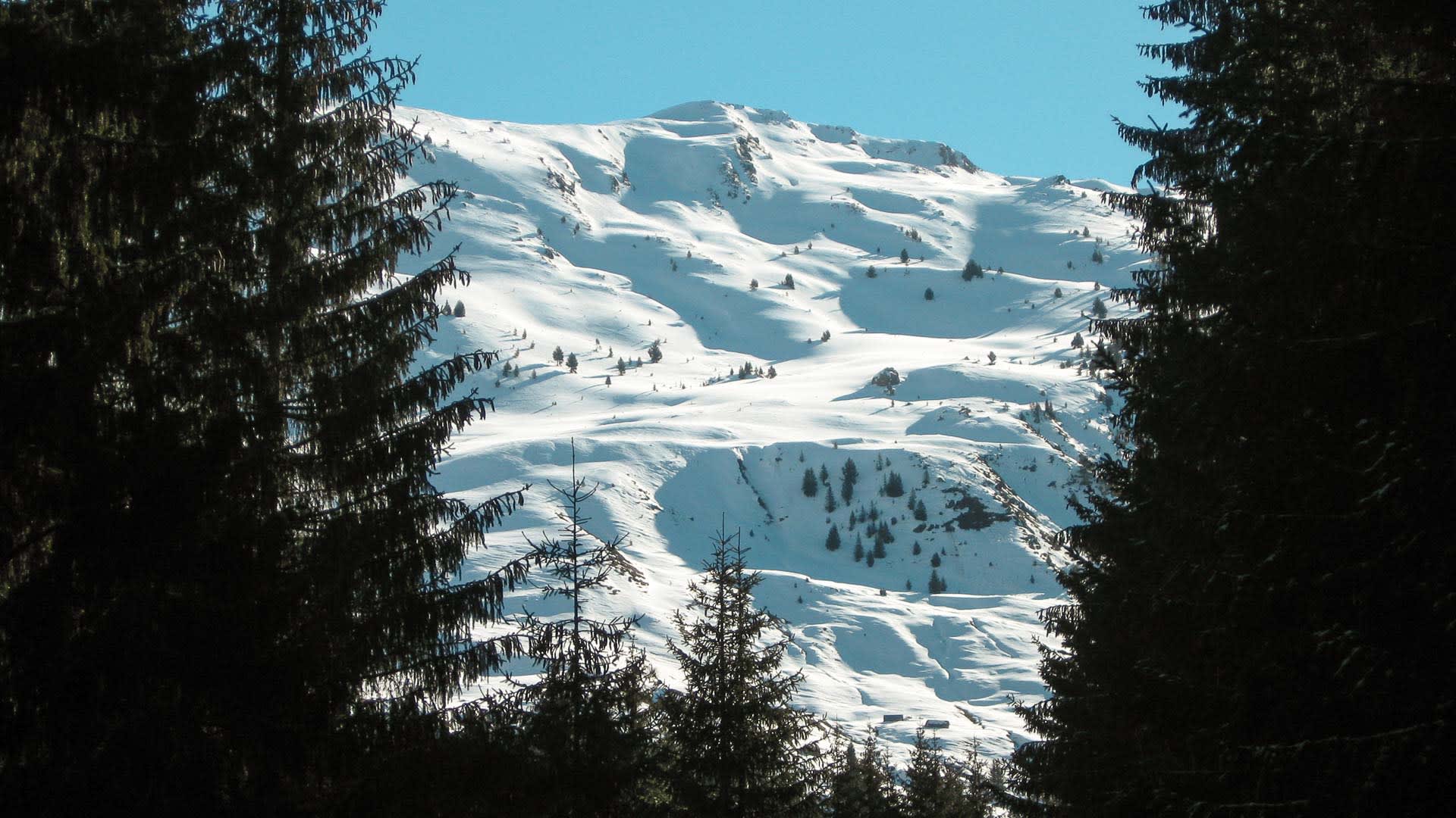 Schneebedeckter Berghang mit Nadelbäumen und einer Almhütte im Durmitor-Nationalpark Montenegro im Winter.