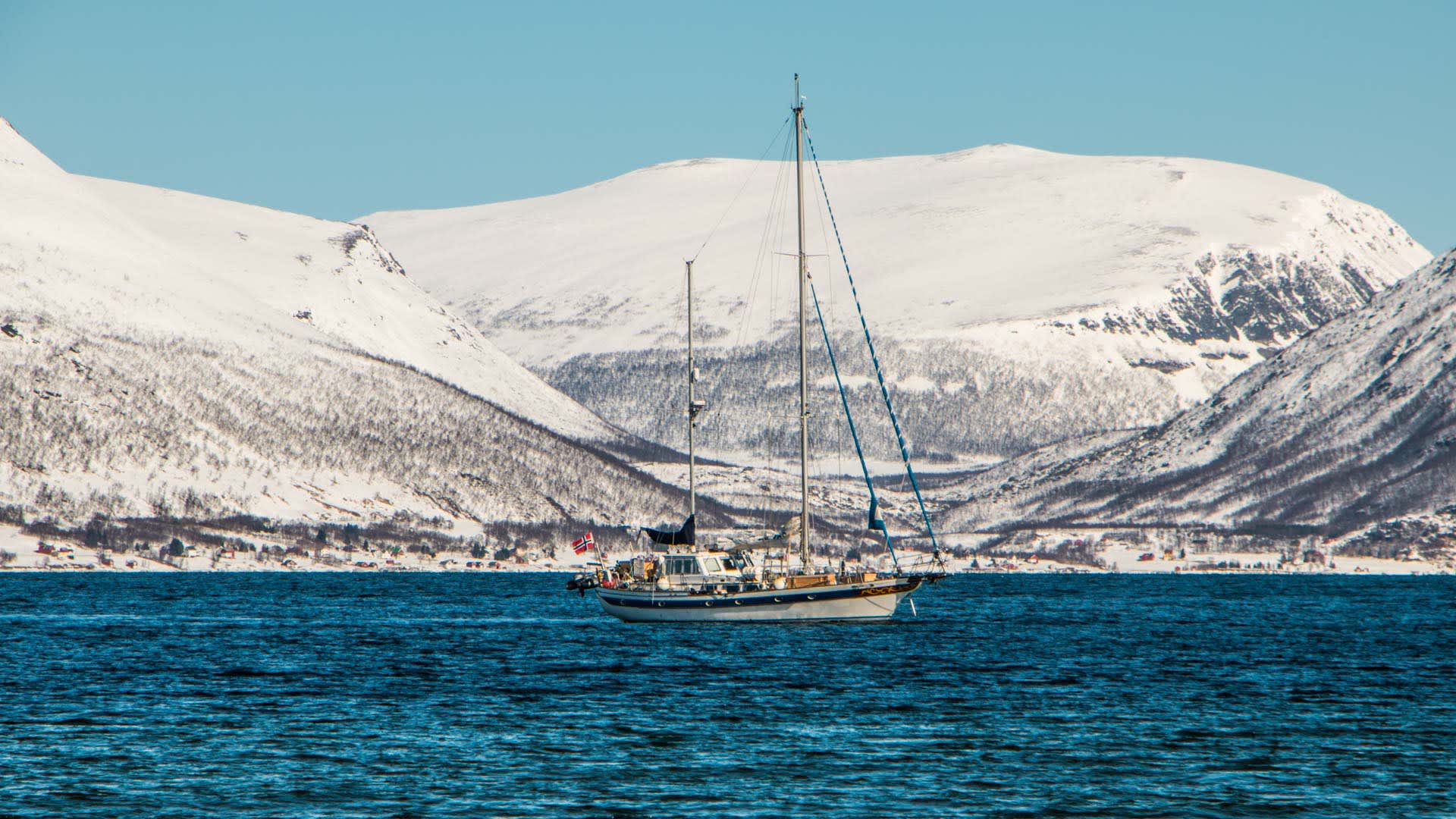Skitour in Norwegen: Segelboot mit norwegischer Flagge auf dem Fjord bei Tromsø, dahinter schneebedeckte Berghänge