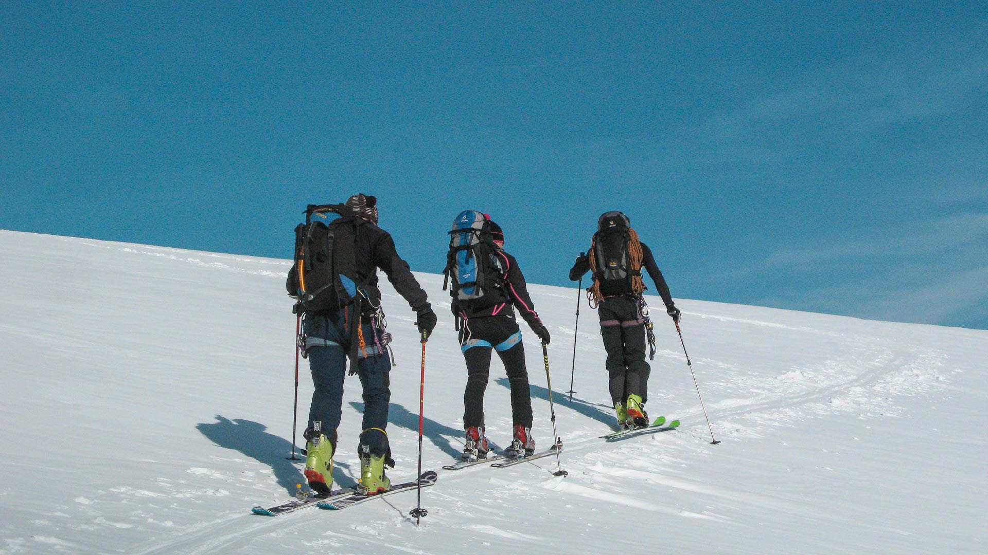 Drei Skitourengeher mit Fellen und Tourenstöcken steigen einen gleichmäßigen Schneehang am Großglockner auf.