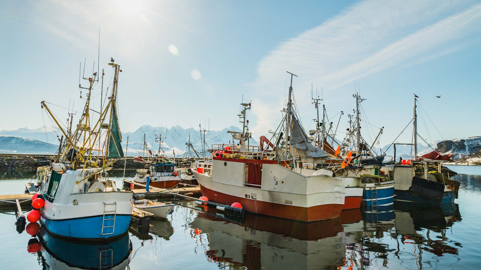 Mehrere Fischerboote im Hafen von Lyngen mit schneebedeckten Bergen im Hintergrund bei tiefem Winterlicht.