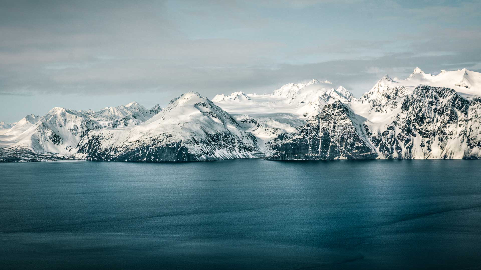 Fjordpanorama in Norwegen mit verschneiten Bergketten beidseitig des ruhigen, tiefblauen Wassers im Winter.