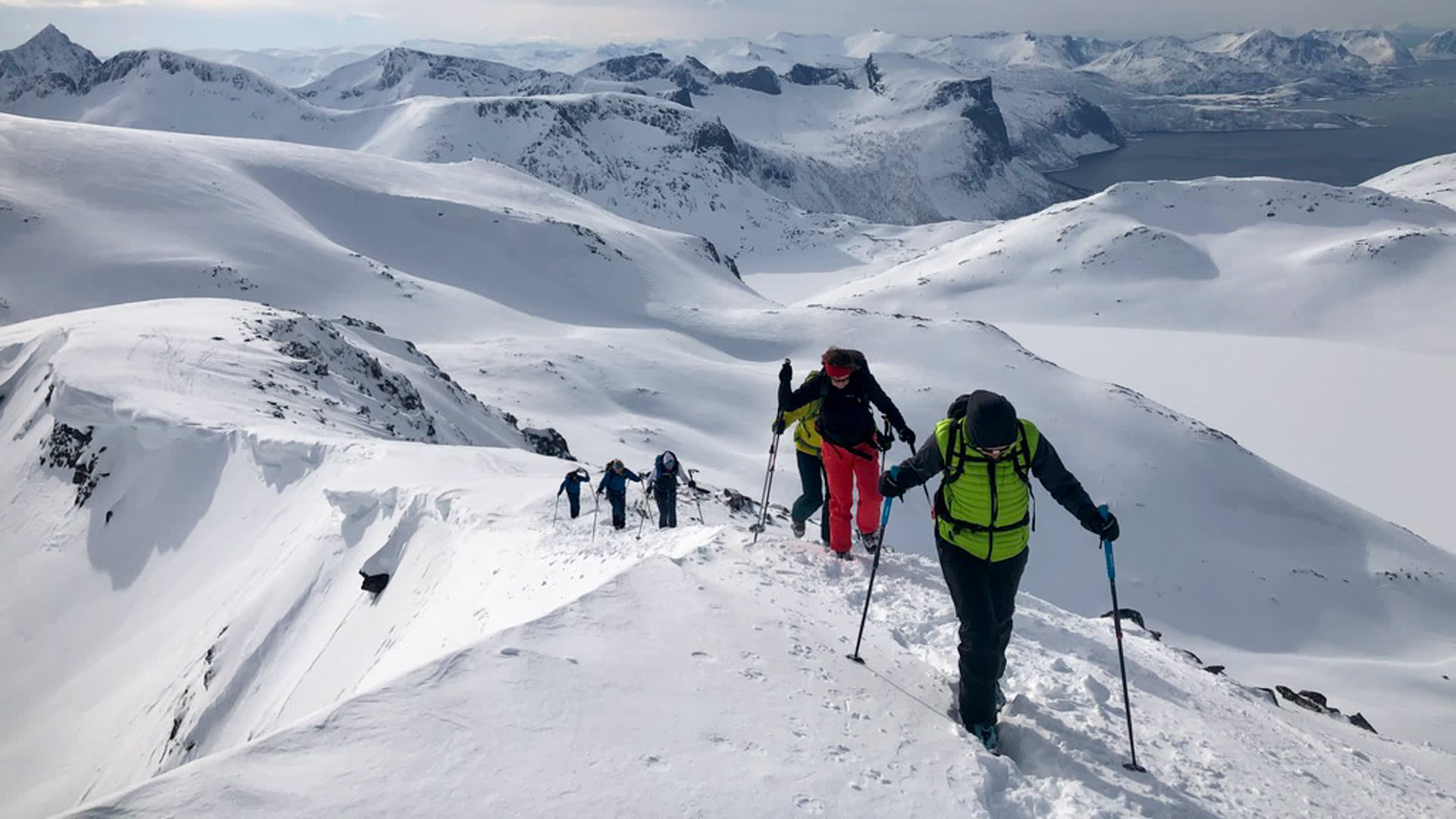 Fünf Skitourengeher steigen in einer Linie einen verschneiten Bergrücken in Senja auf, Fjord im Hintergrund.