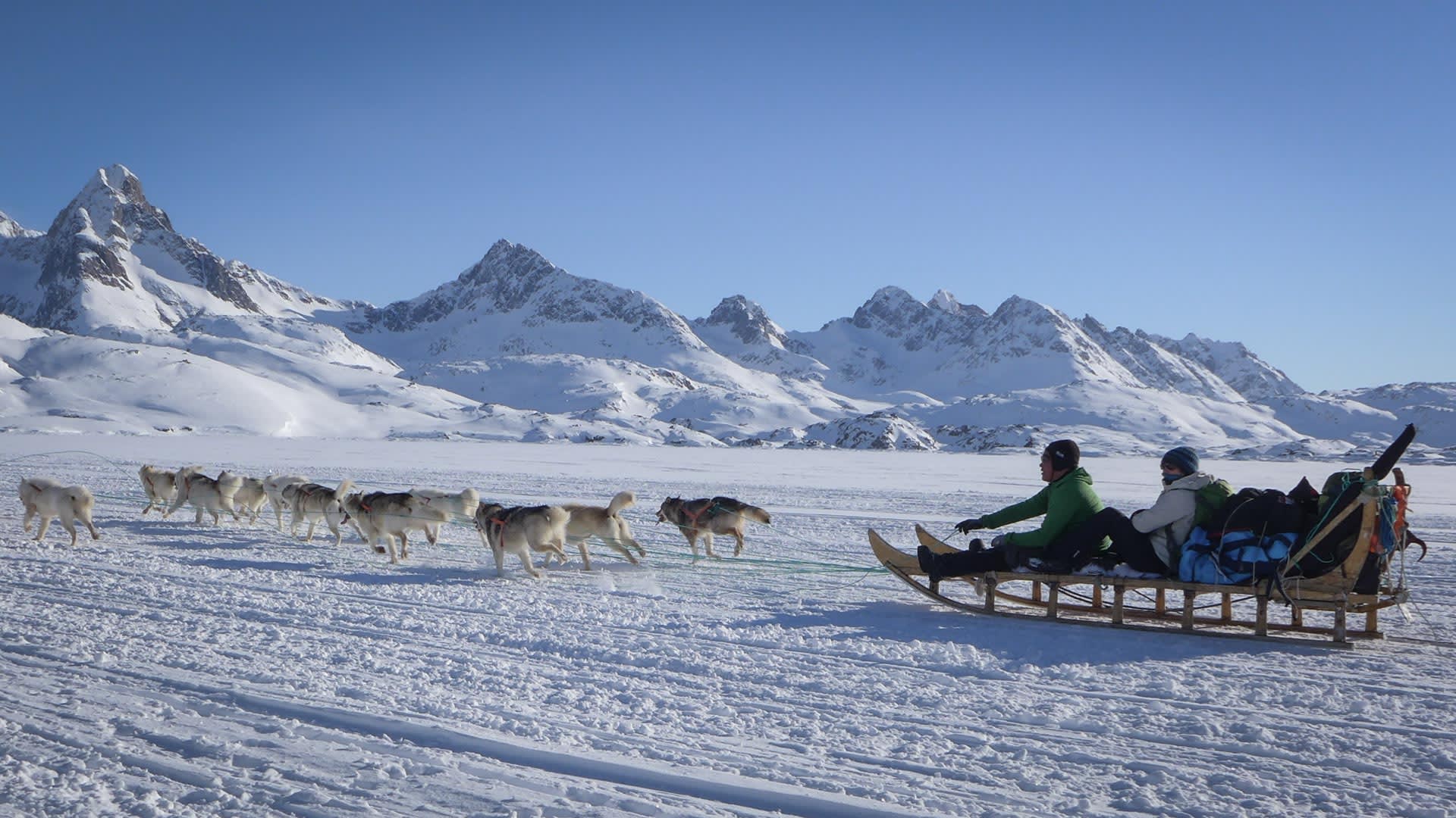 Hundeschlittengespann mit 13 Hunden und zwei Personen auf hartgepacktem Schnee vor verschneiter Bergkette – Skitour Grönland.