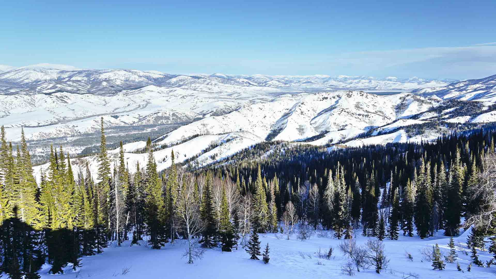 Skitour im kasachstanischen Altai: sonniges Winterpanorama über schneebedeckte Bergketten, Nadelwälder und weite Hänge