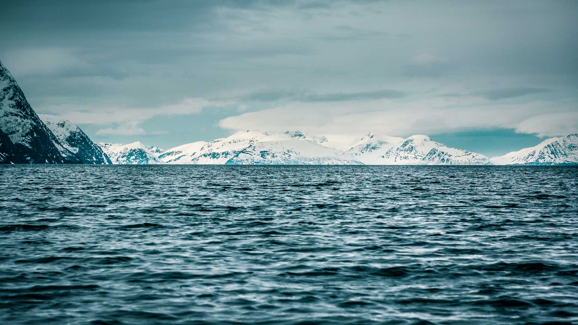 Blick vom Boot auf die schneebedeckten Gipfel der Lyngenalpen in Norwegen – Ausgangspunkt für Skitouren im arktischen Hochgebirge.